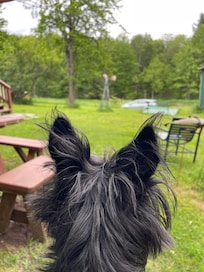 Toto is not in kansas (or nyc) anymore!