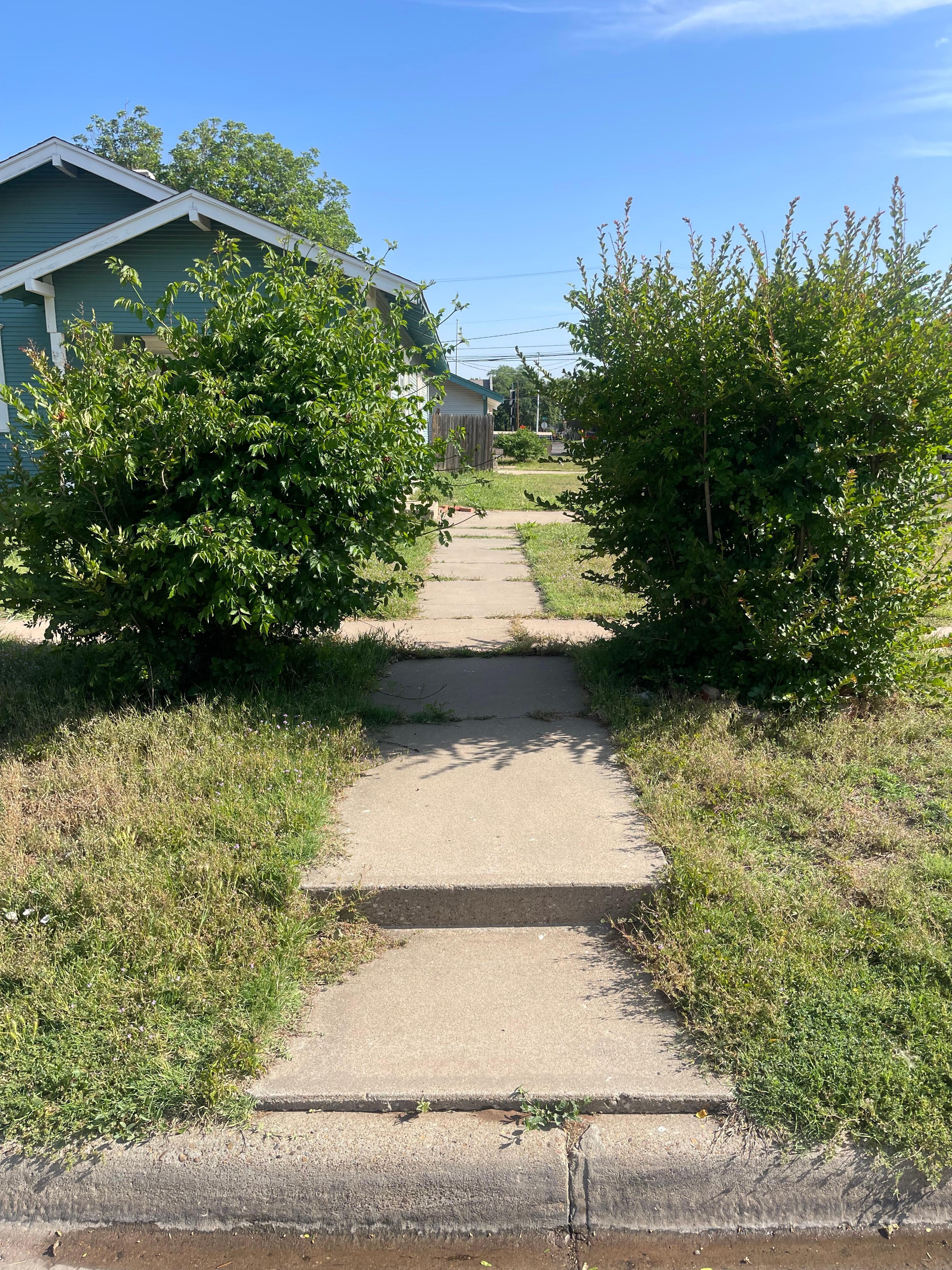 Front walkway hard to use with overgrown shrubs