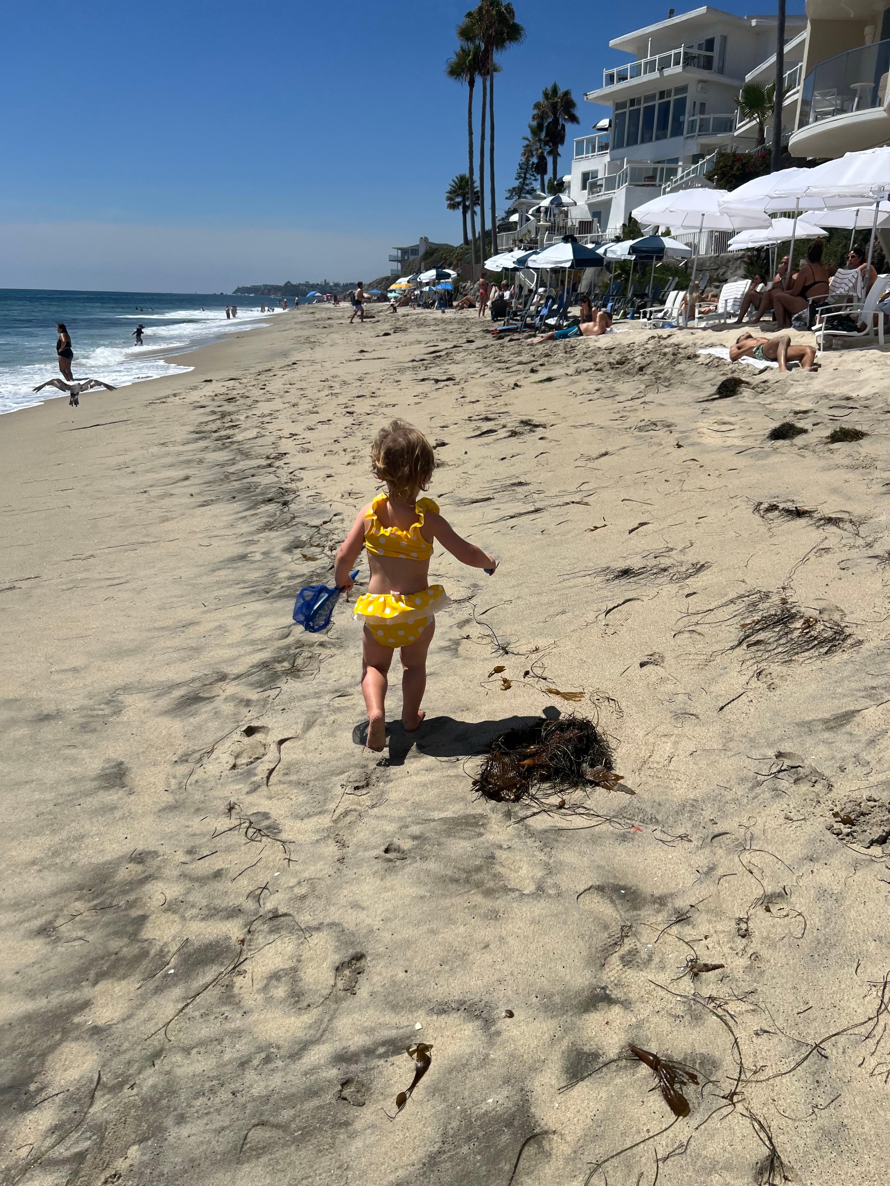 Ideal beach access with chairs , towels and umbrellas- no extra charge for perfect weather either 