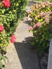 Une magnifique allée fleurie et un terrain entretenu