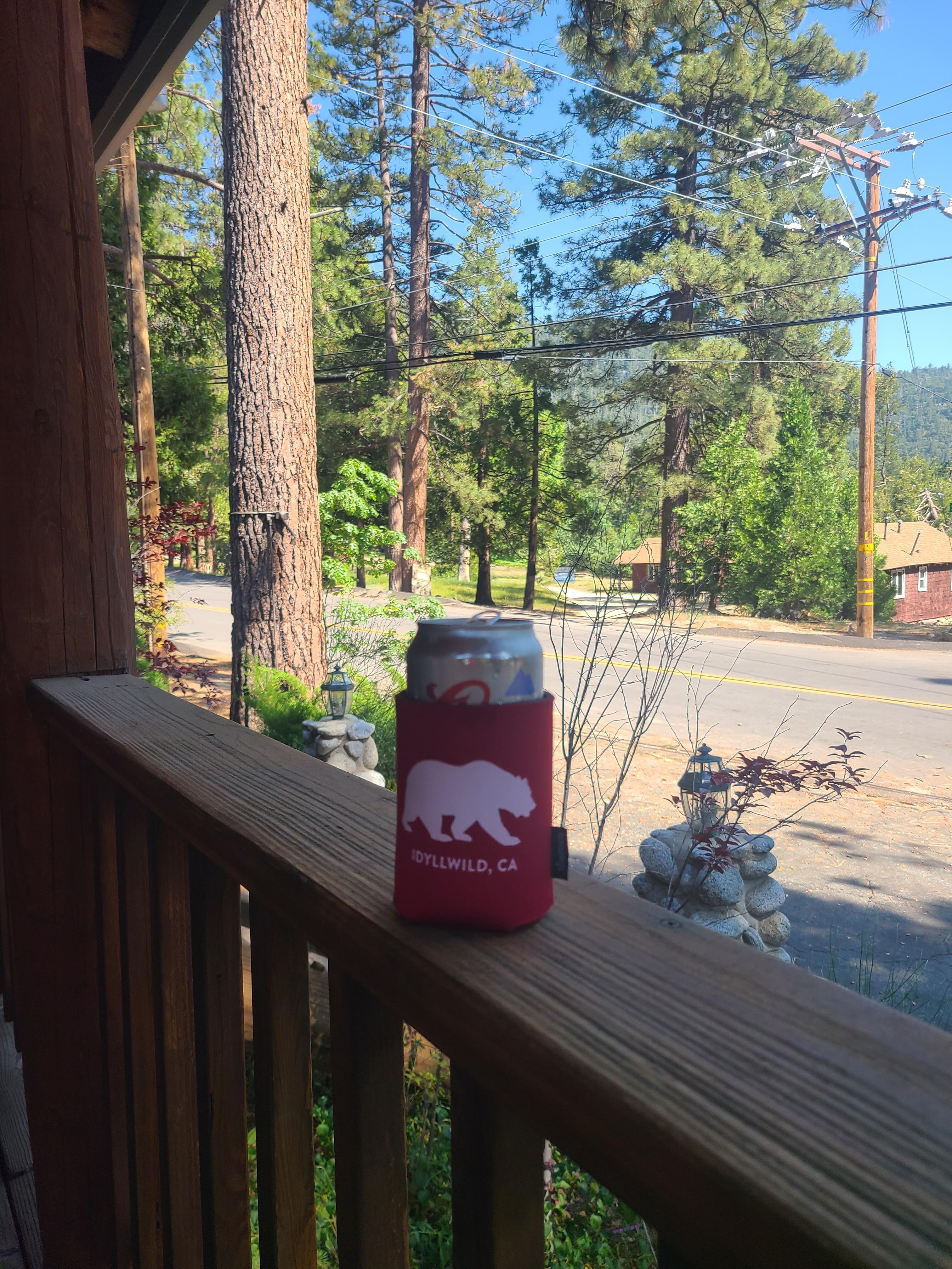 Enjoying the front porch view!