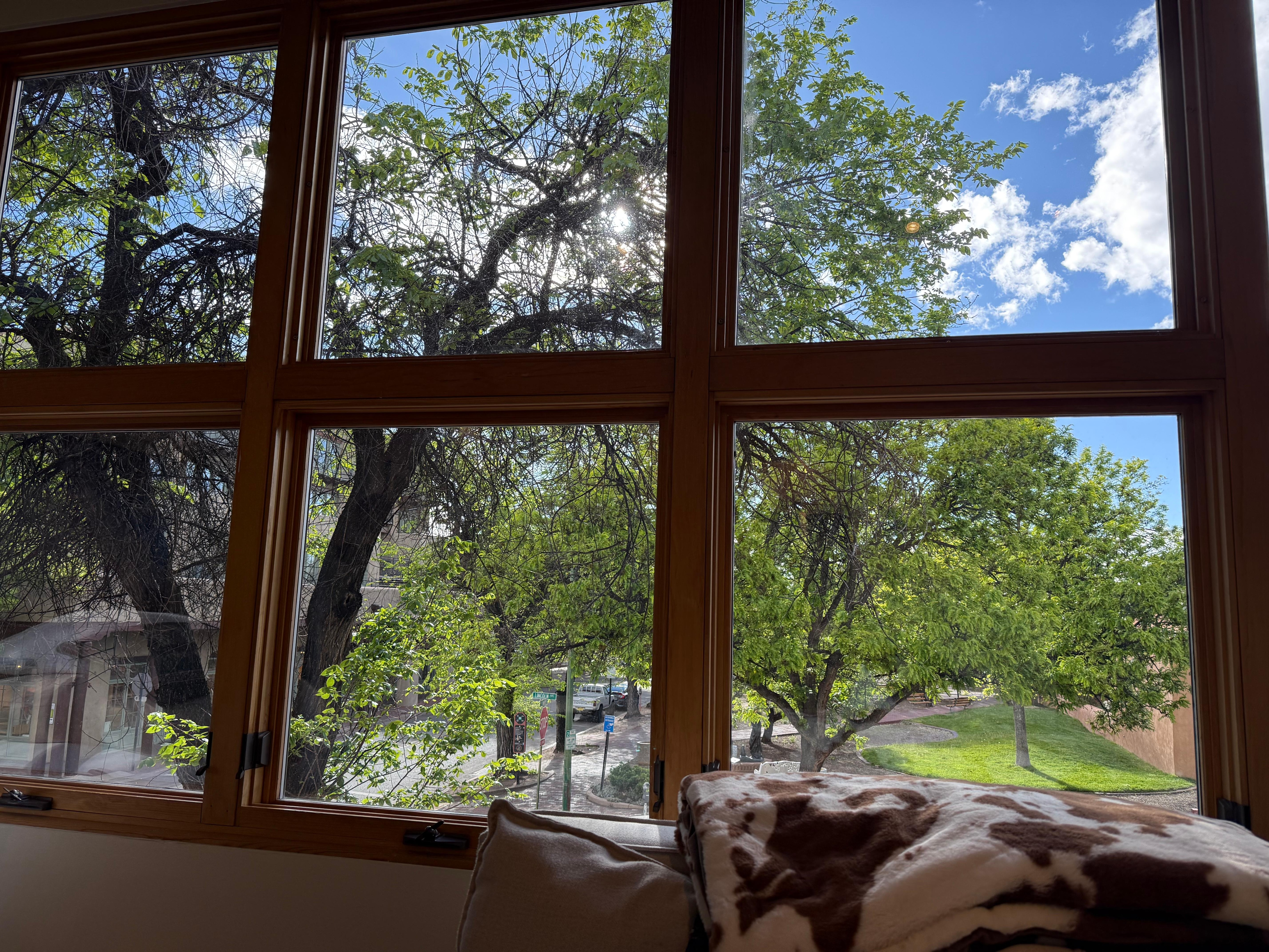 Living room view. A window wall.