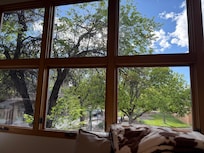 Living room view. A window wall.