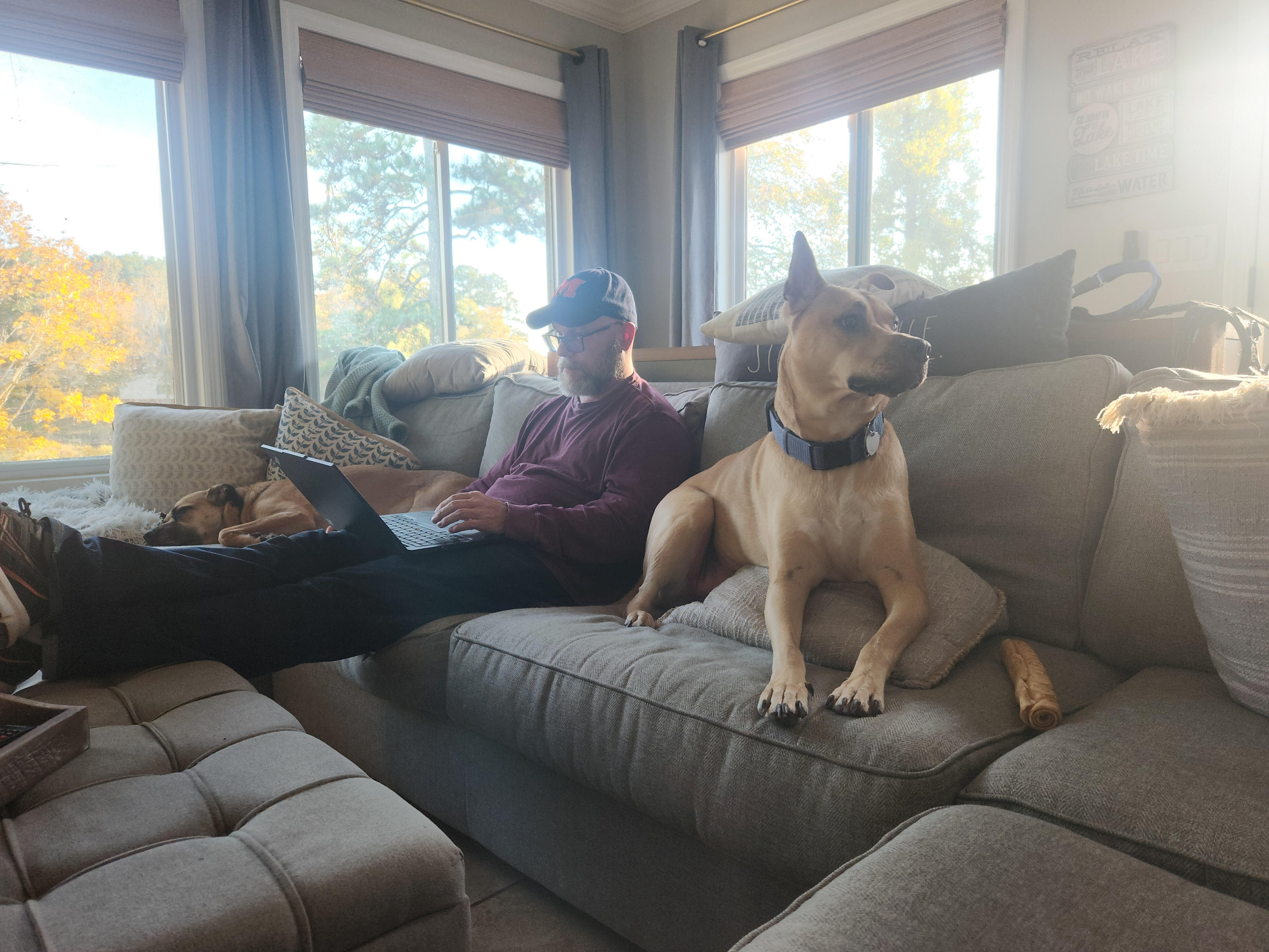 My husband and our pups working and relaxing in luxurious comfort with beautiful views of the lake.