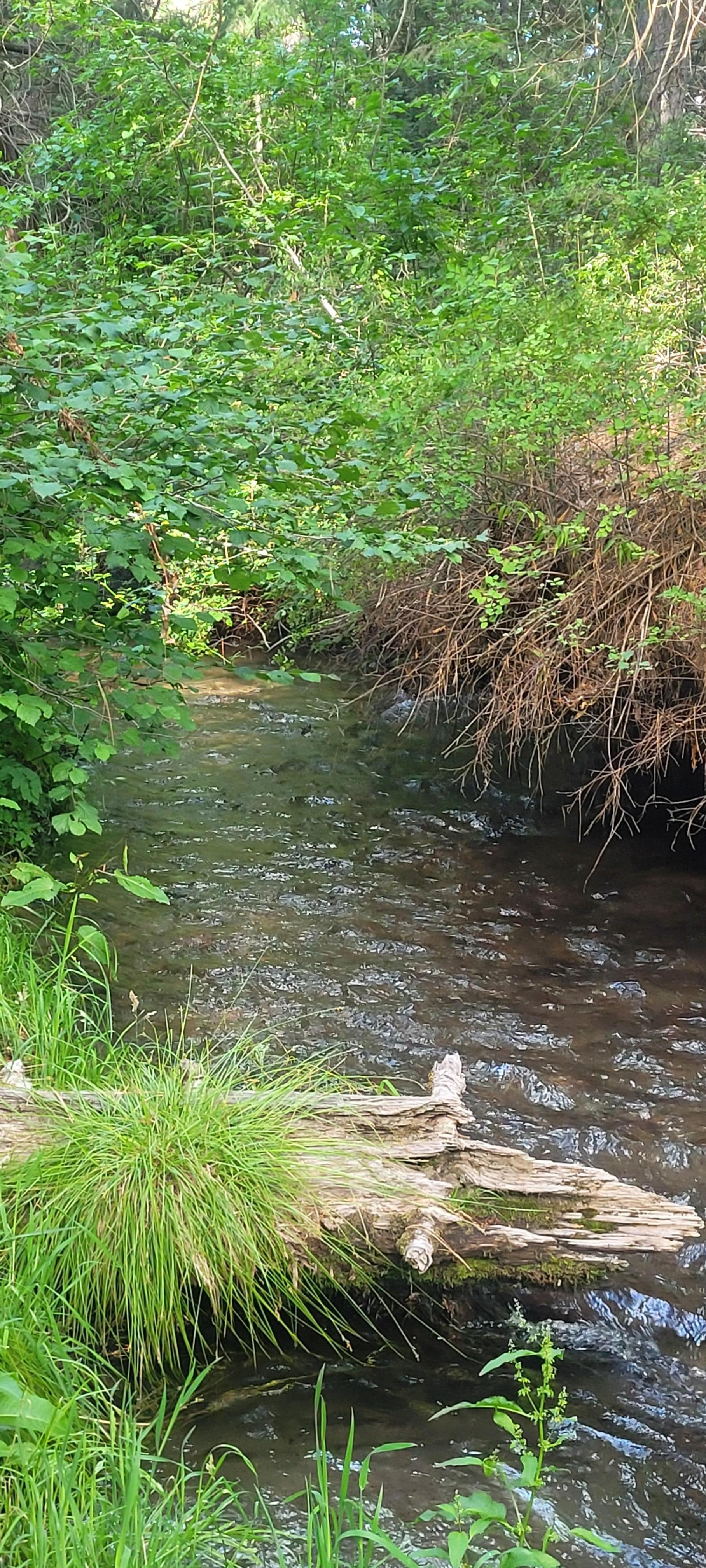 Very own creek with 2 chairs to sit and relax 😌 