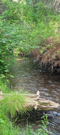 Very own creek with 2 chairs to sit and relax đ