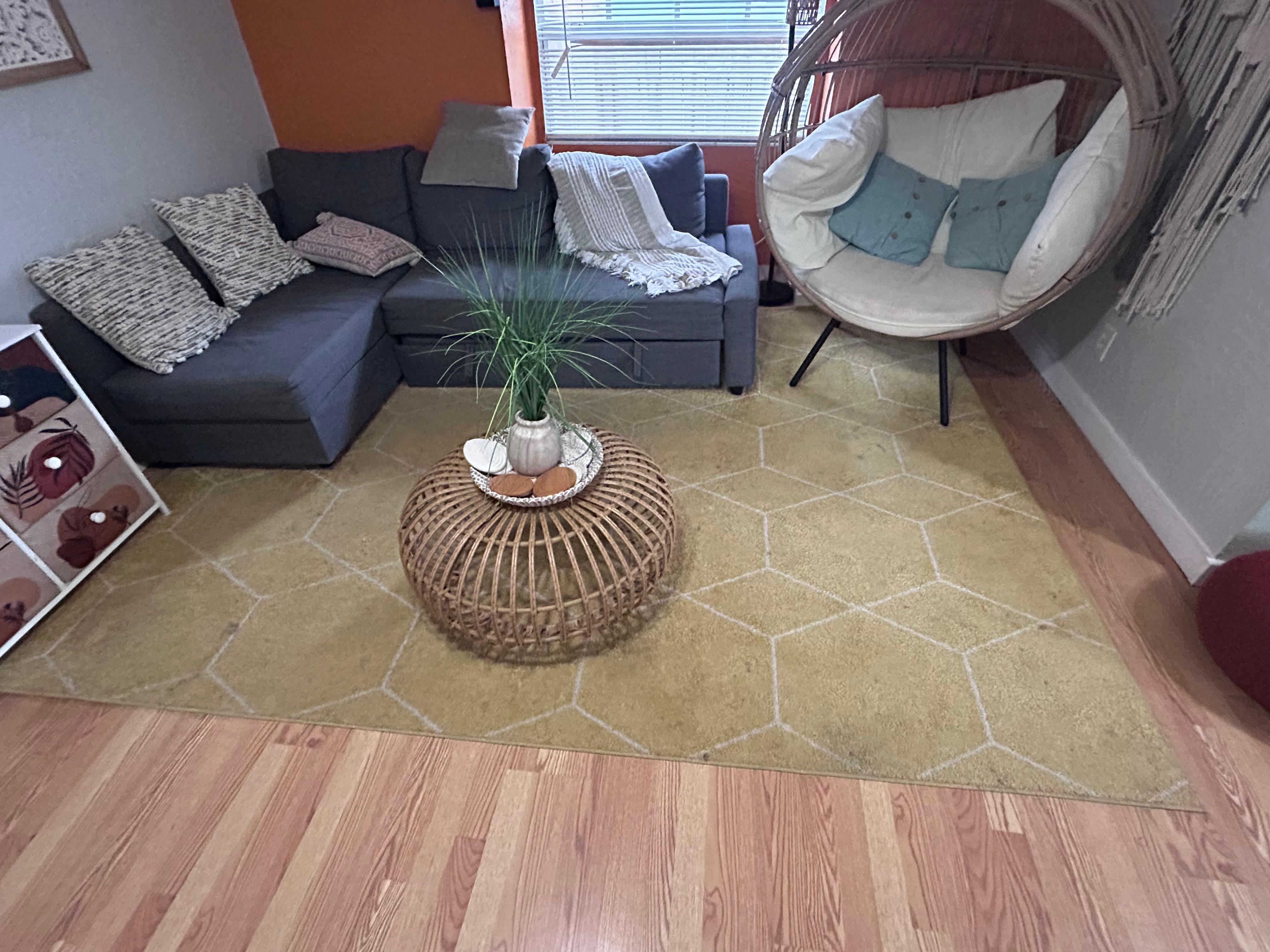 Another picture of the dirty rug