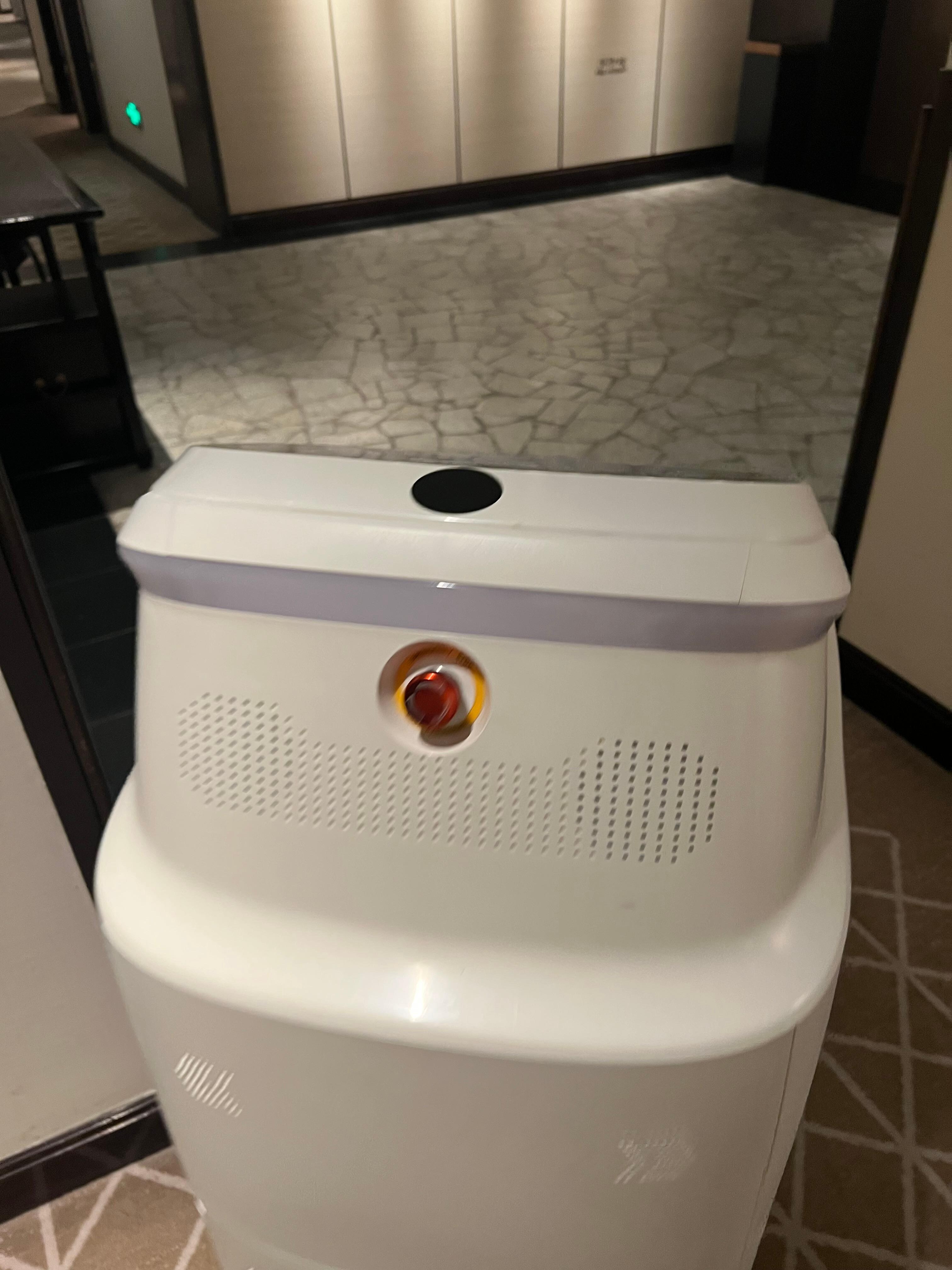 Robot service