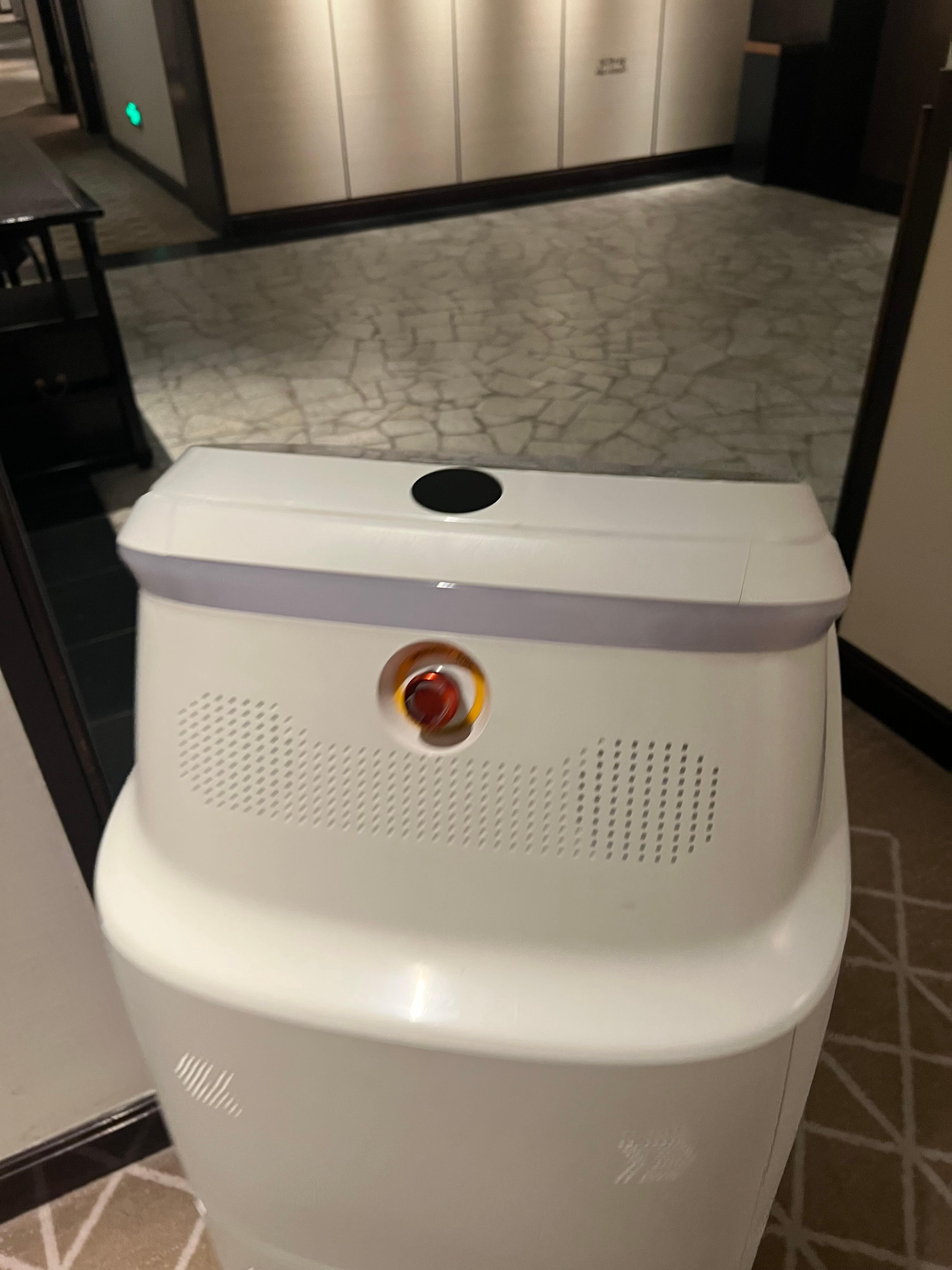 Robot service