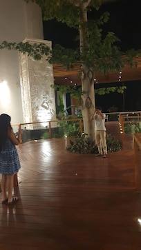 Impresionante ceiba en el recibidor del hotel rodeada de 4 estelas mayas