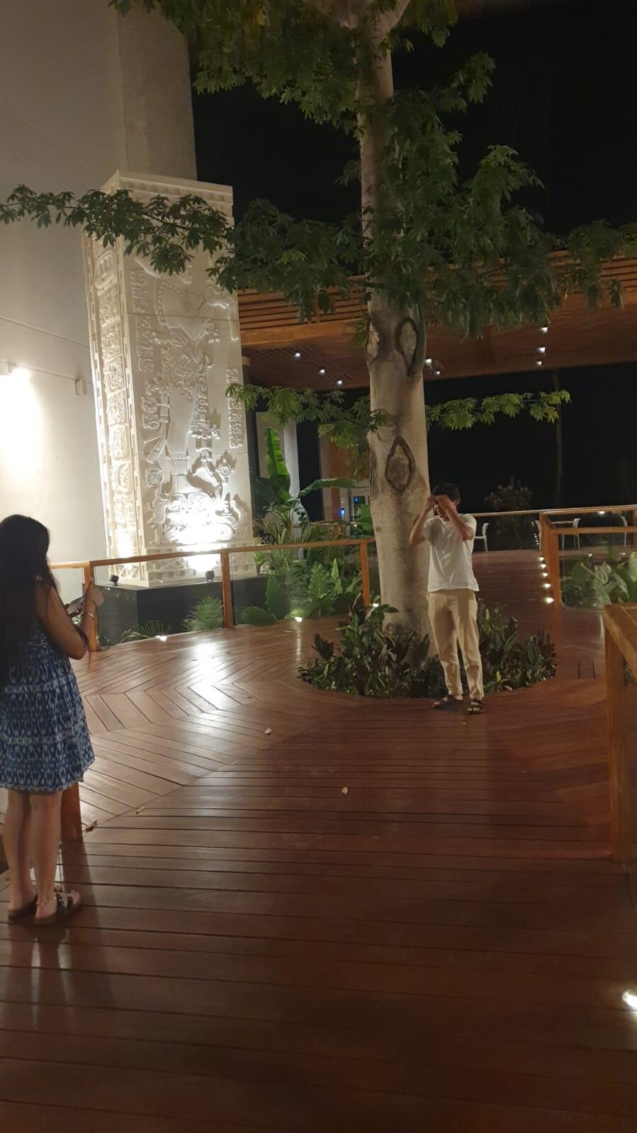 Impresionante ceiba en el recibidor del hotel rodeada de 4 estelas mayas