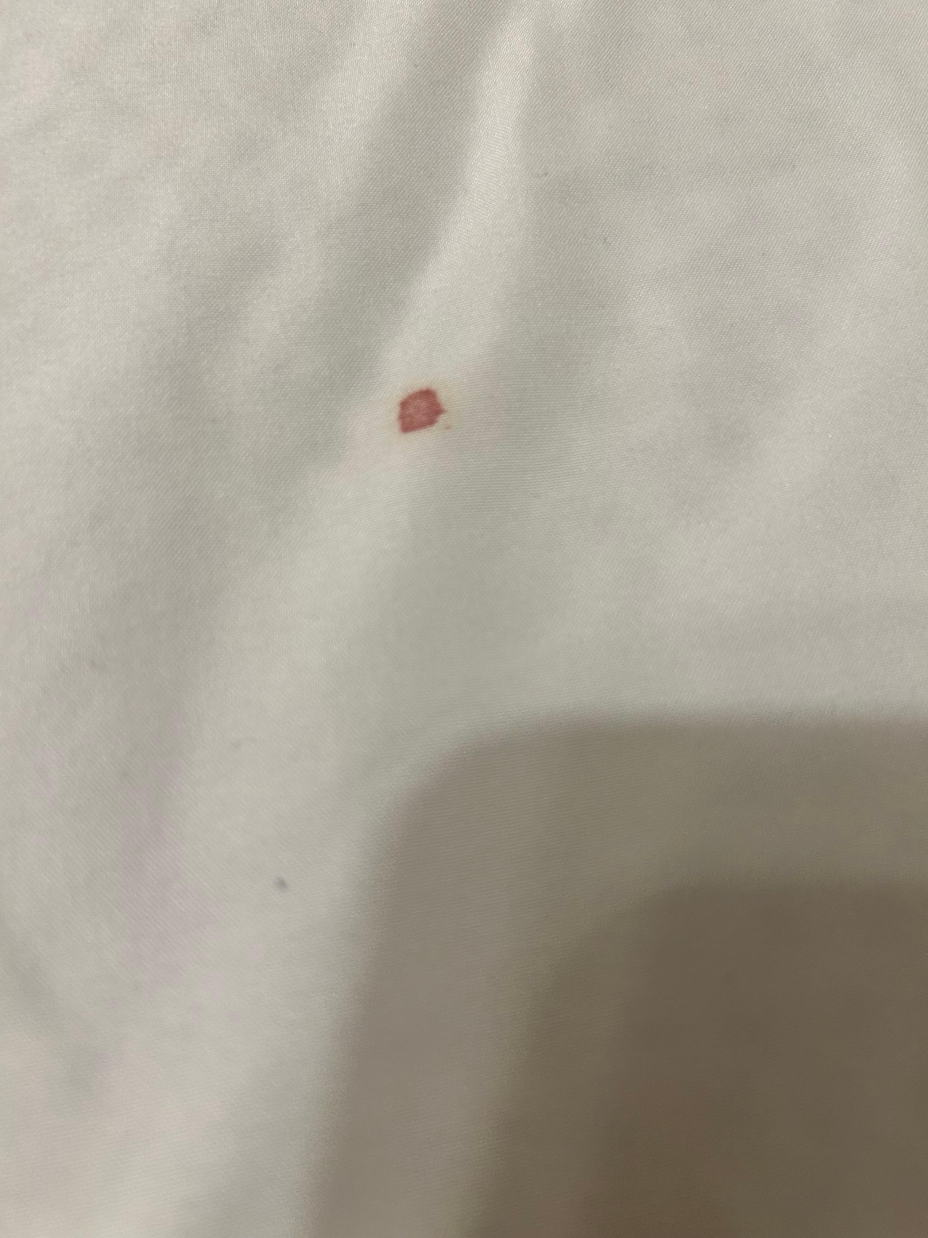 Blood stains on sheets. 