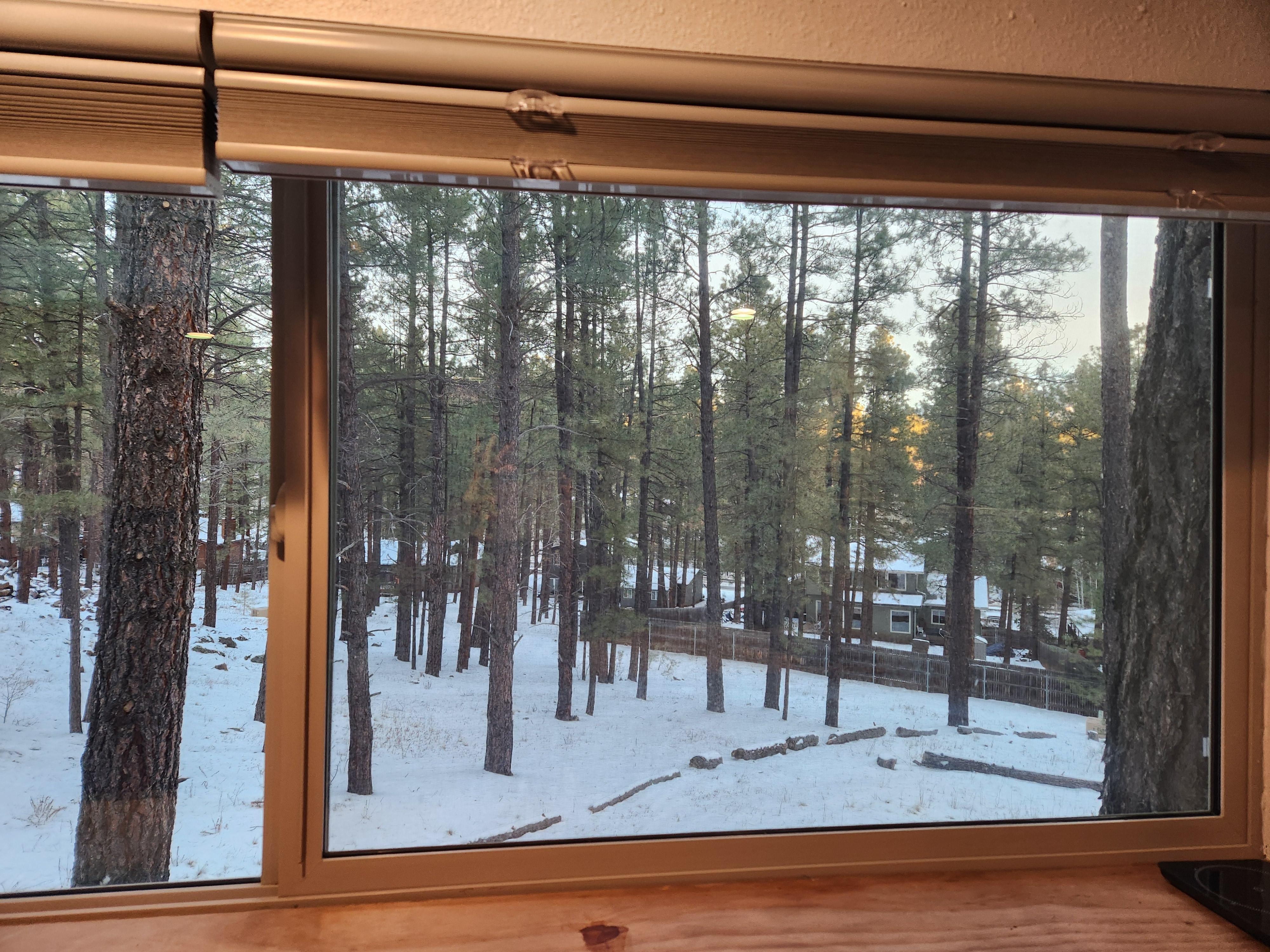 Magnificent view from the kitchen window. 