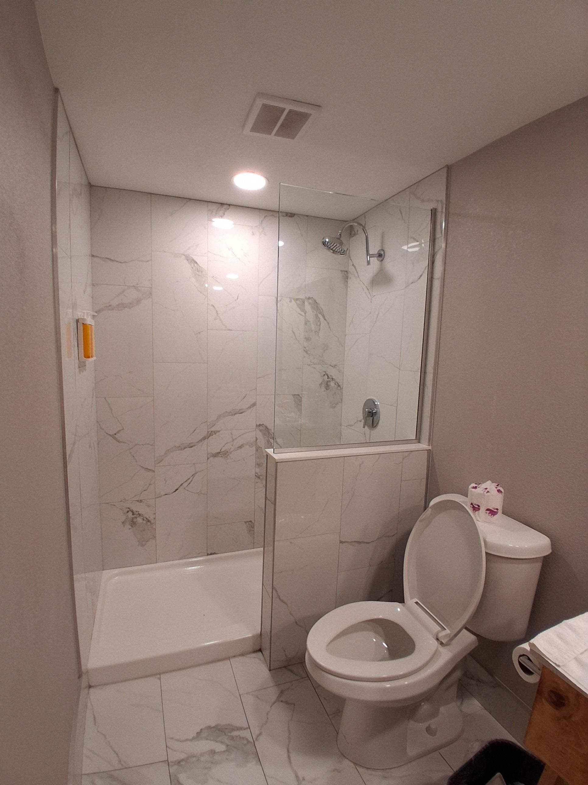 No hooks or towel bars