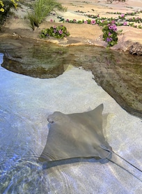 Aquarium