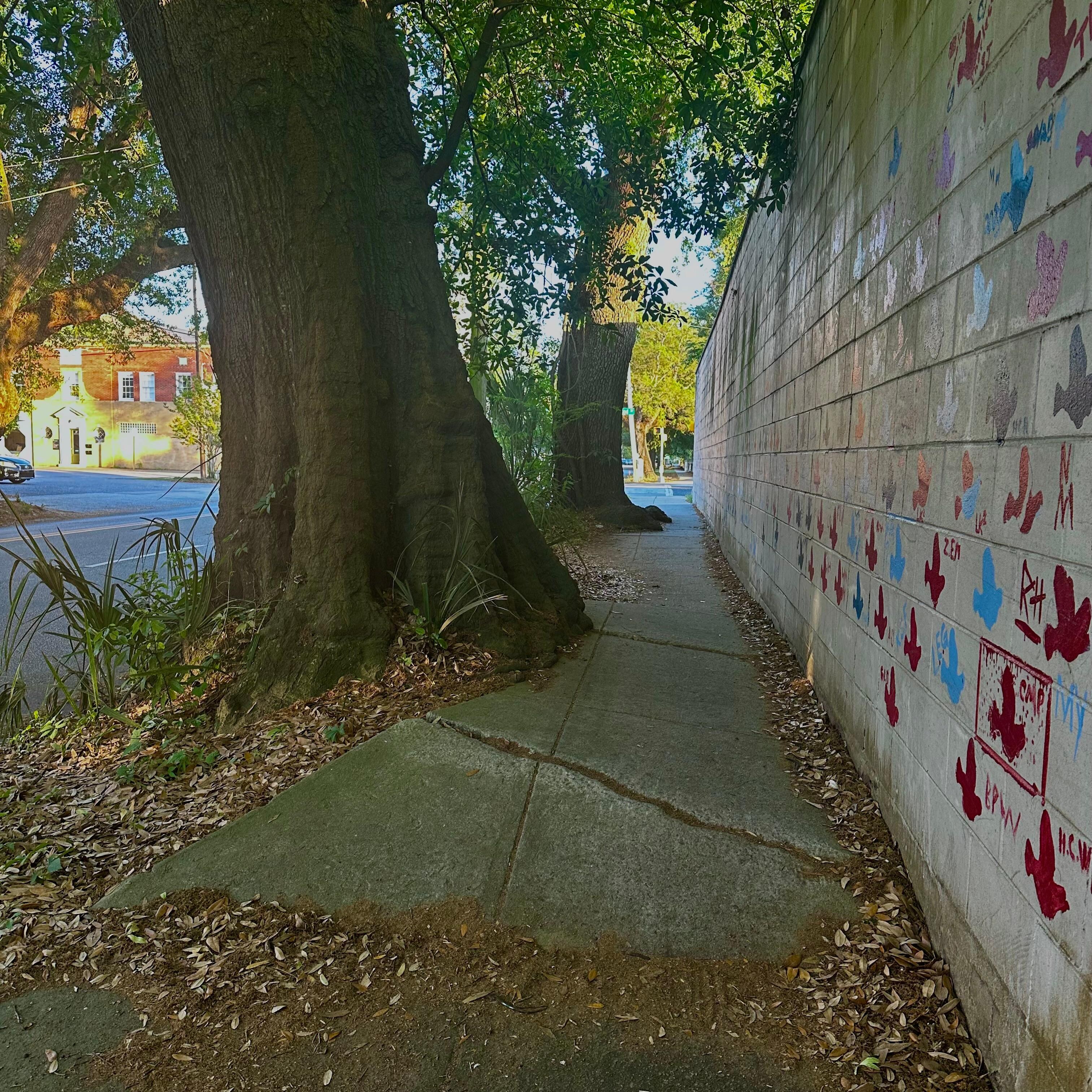 A walk with mural up the street . Neighborhood is in transition and lots of walkers and runners. The interior pic VRBO offers does not correctly portray the unit. No point of reference to entighten you, but it will not take long once you enter !