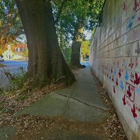 A walk with mural up the street . Neighborhood is in transition and lots of walkers and runners. The interior pic VRBO offers does not correctly portray the unit. No point of reference to entighten you, but it will not take long once you enter !