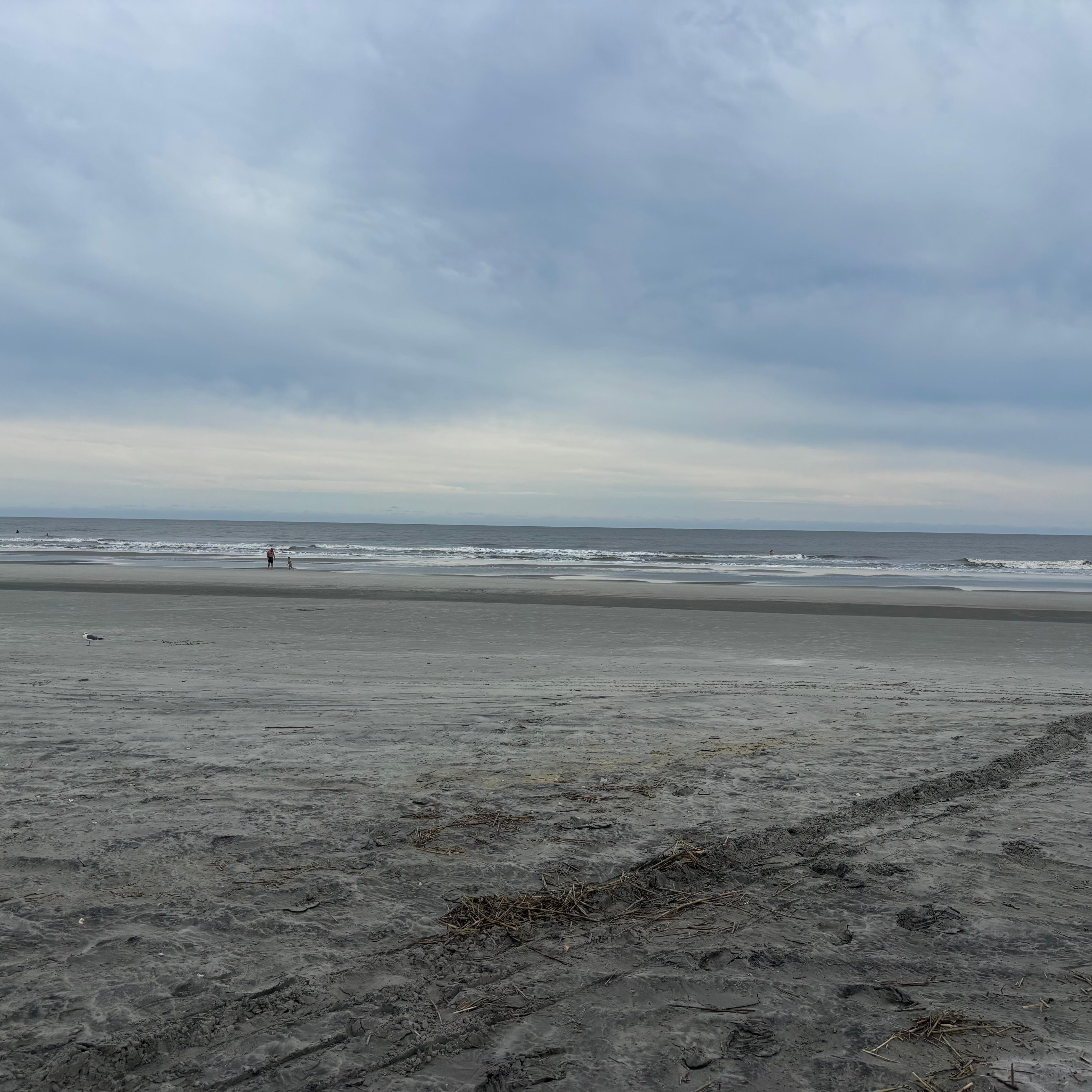 Folly Beach