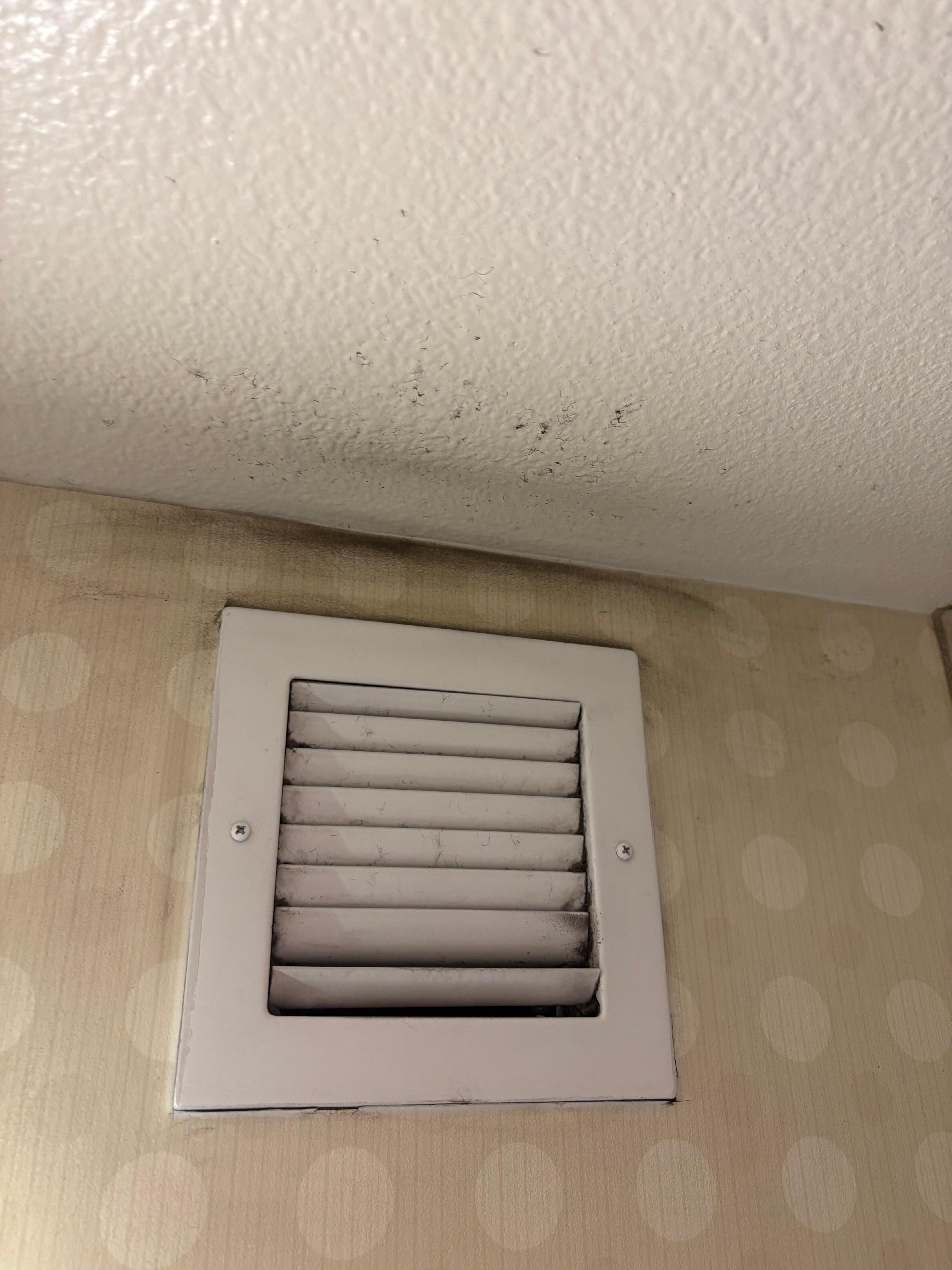 Mold on ceiling 