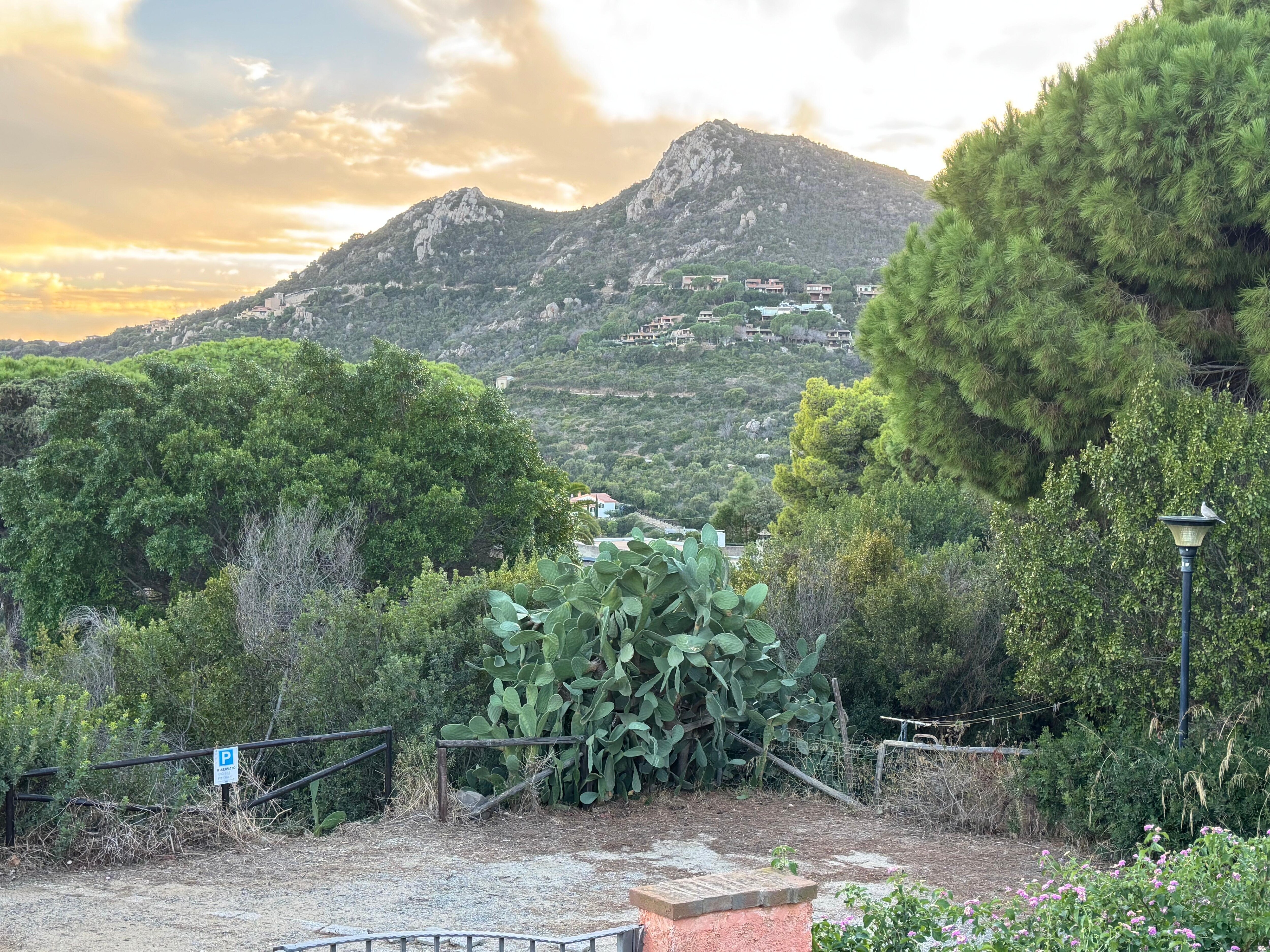 Early sunset behind the house