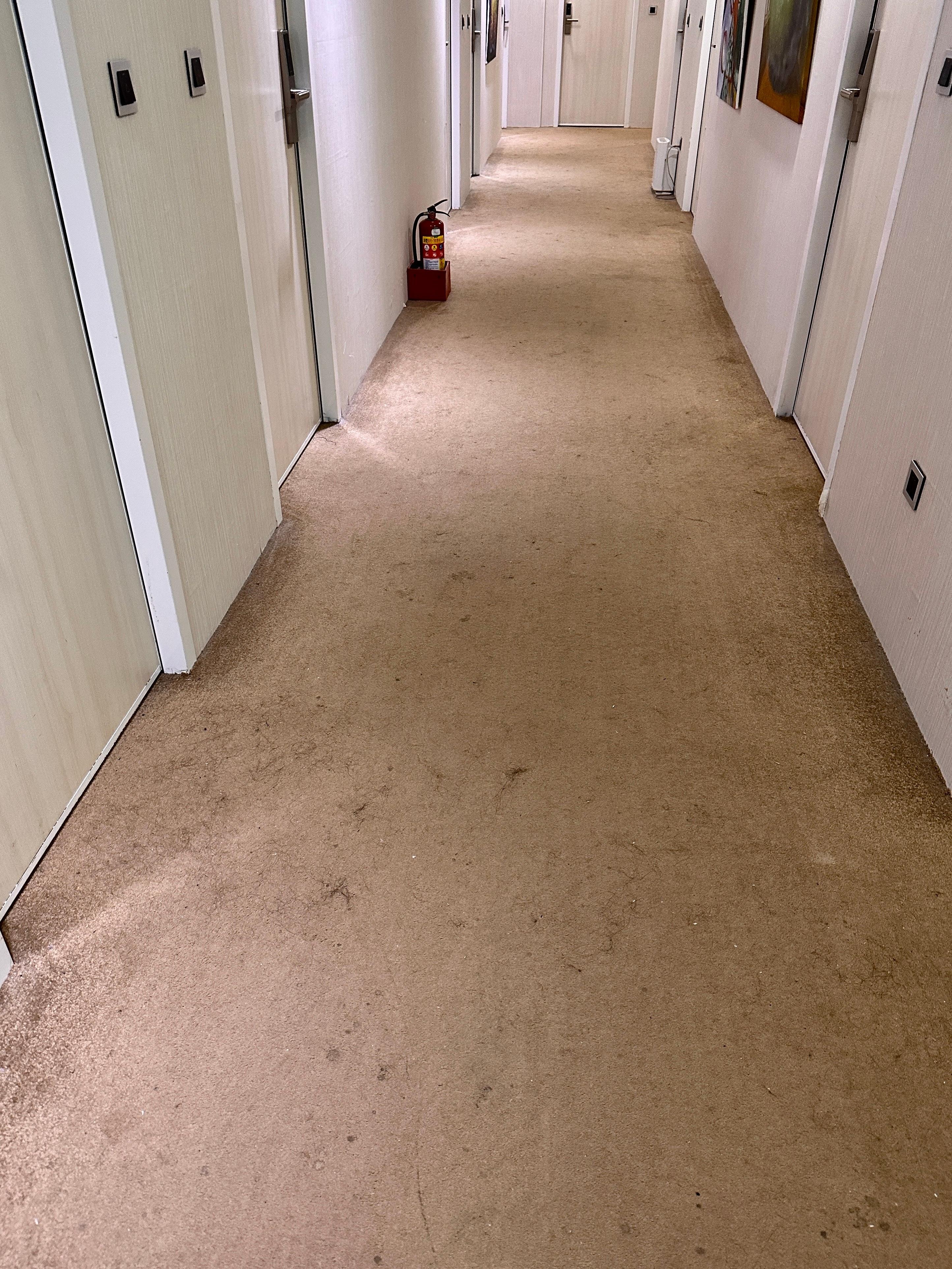 hair and stain covered hallways