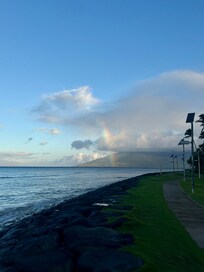 At the park across the street from condos