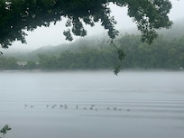 Foggy evening on the river.
