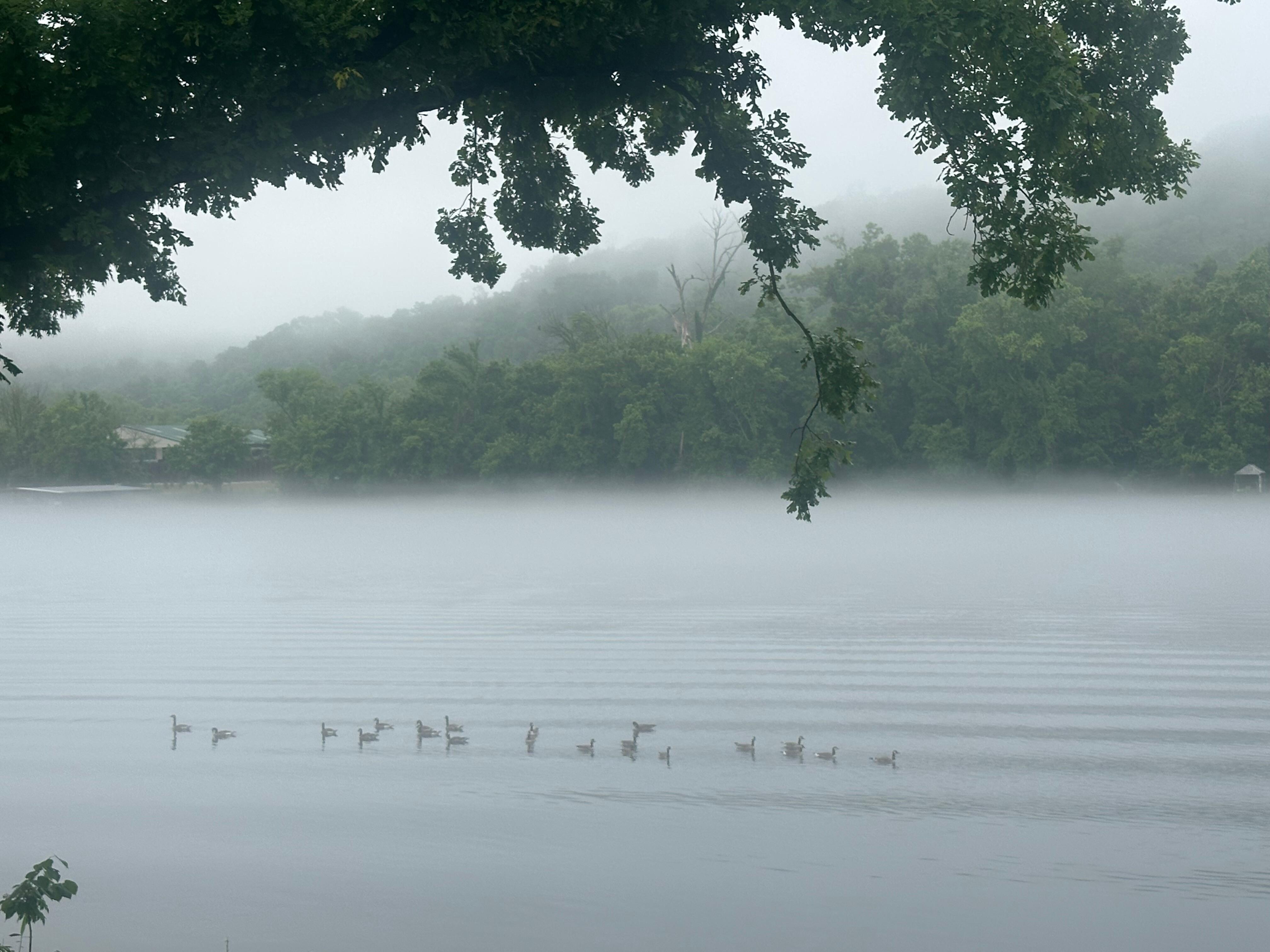 Foggy evening on the river.