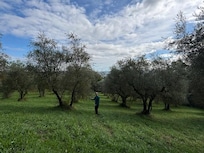 Olives!!