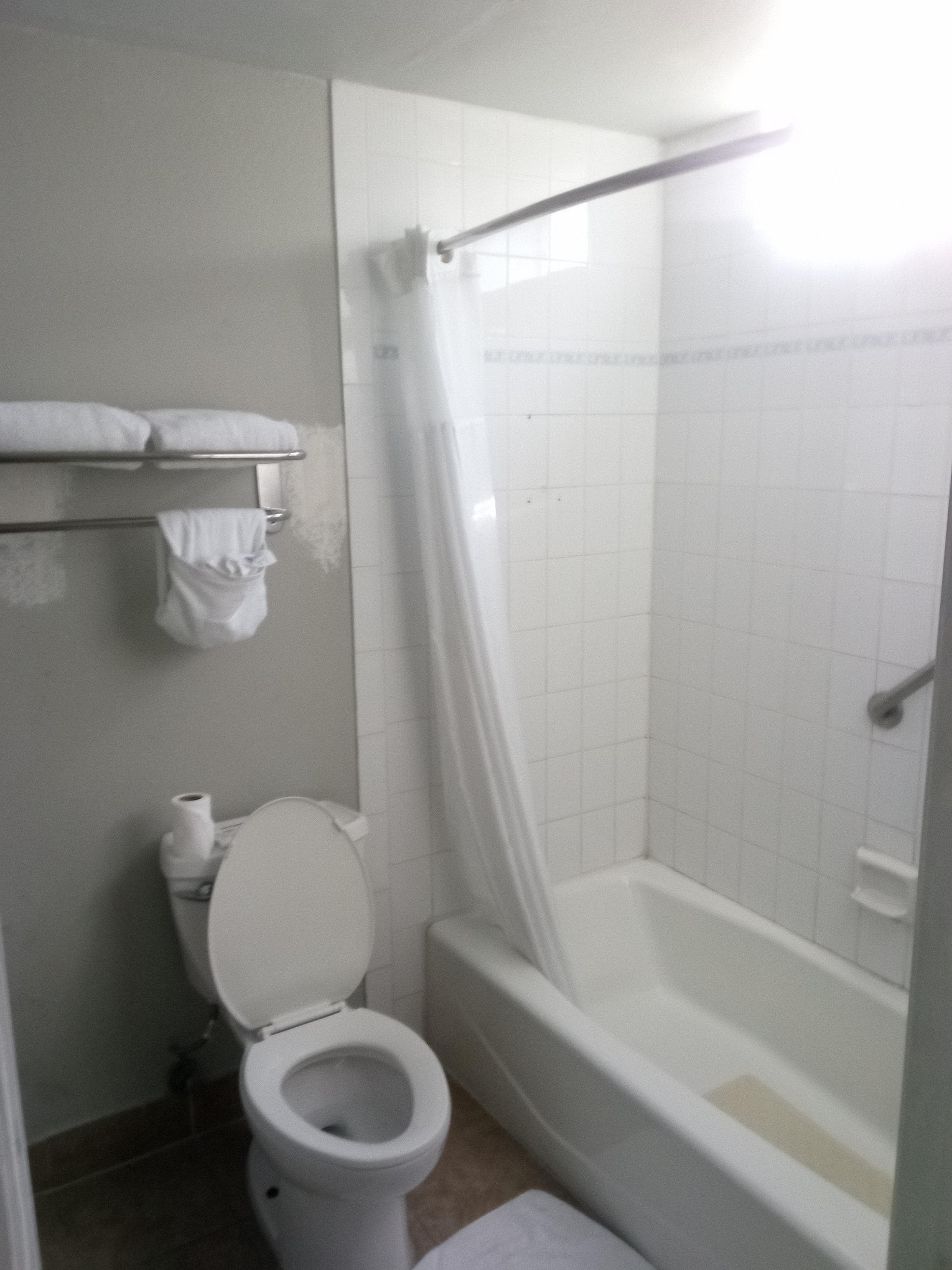 Broken screen on bath window