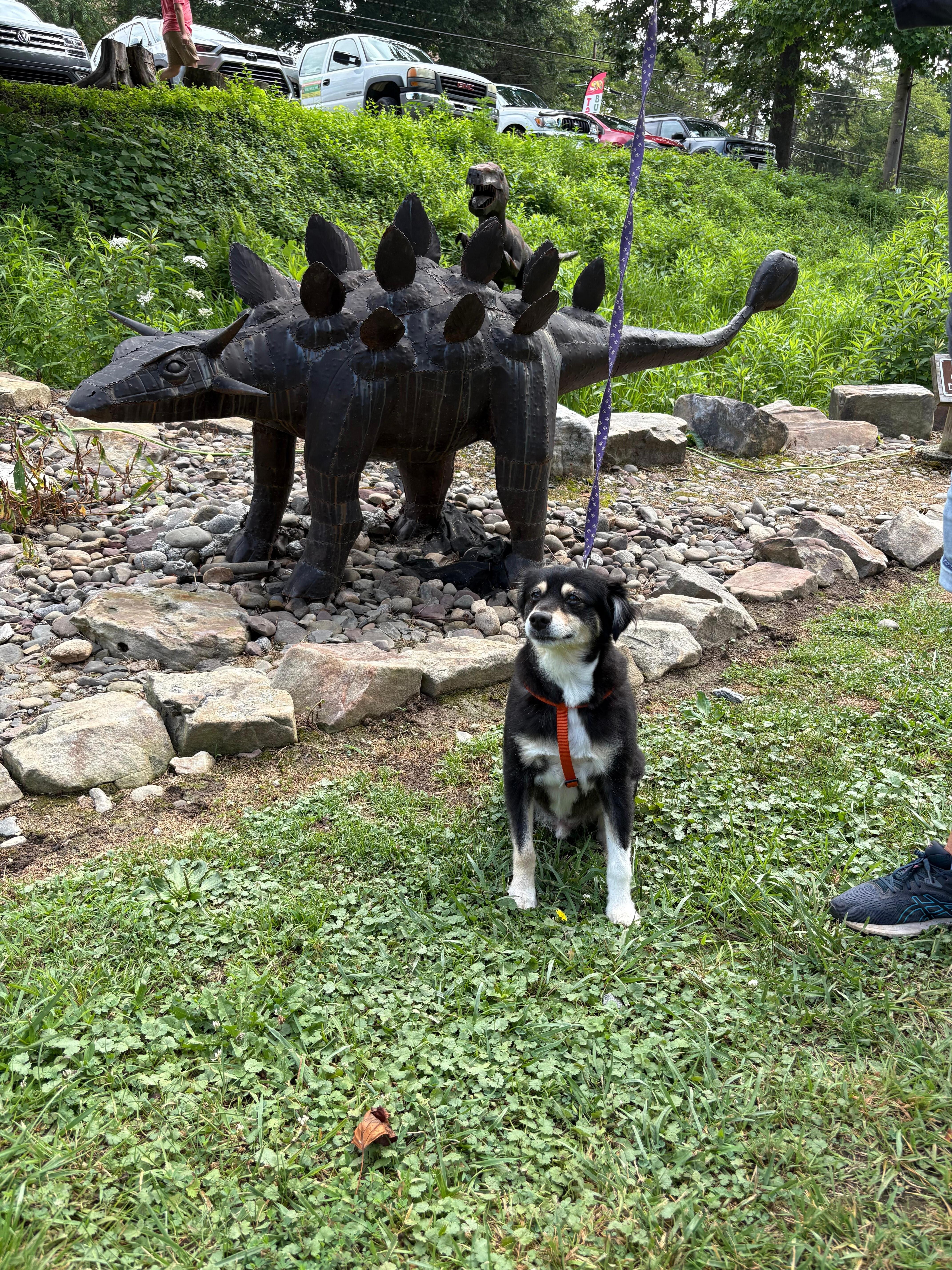 Elijah’s mountain gem mine. We really enjoyed this place right down the road. And we were all adults lol. Our pup had a great adventure 