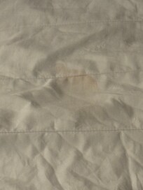 Blood stain on the mattress pad