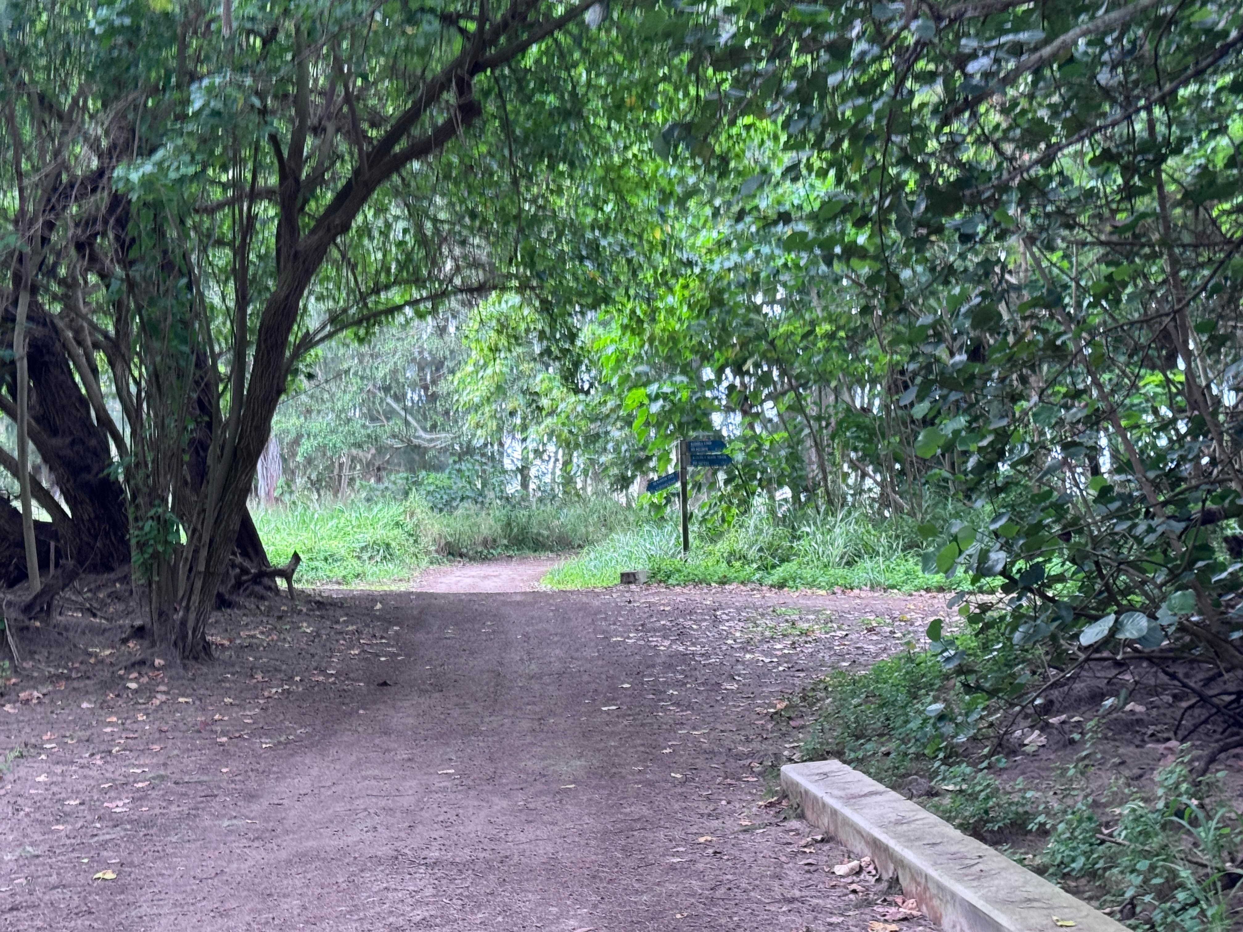 Path to Kawela Bay