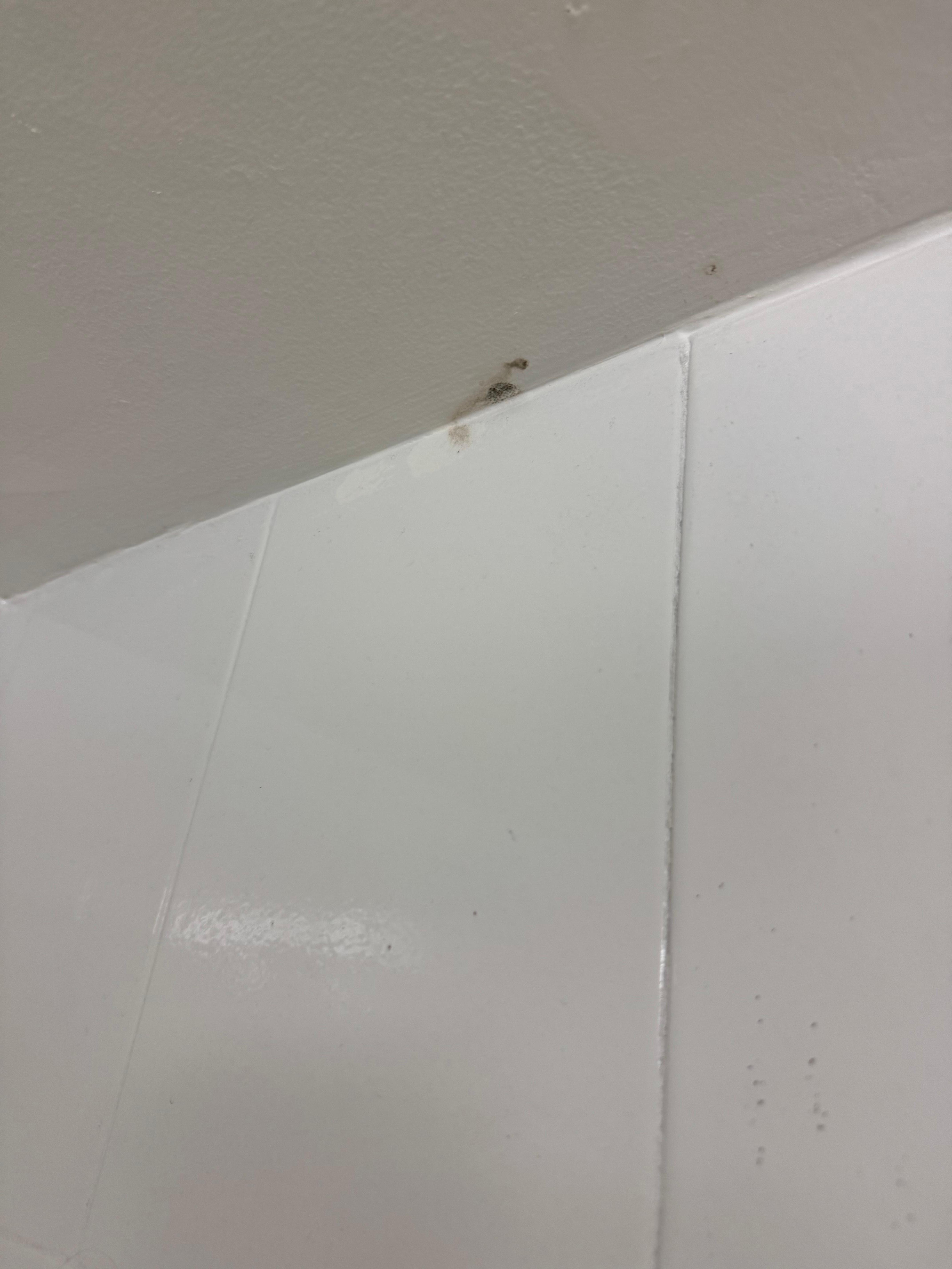 Mold in bathroom 