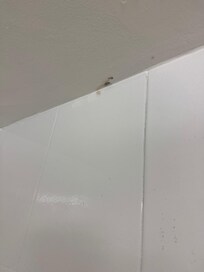 Mold in bathroom