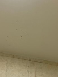Mold