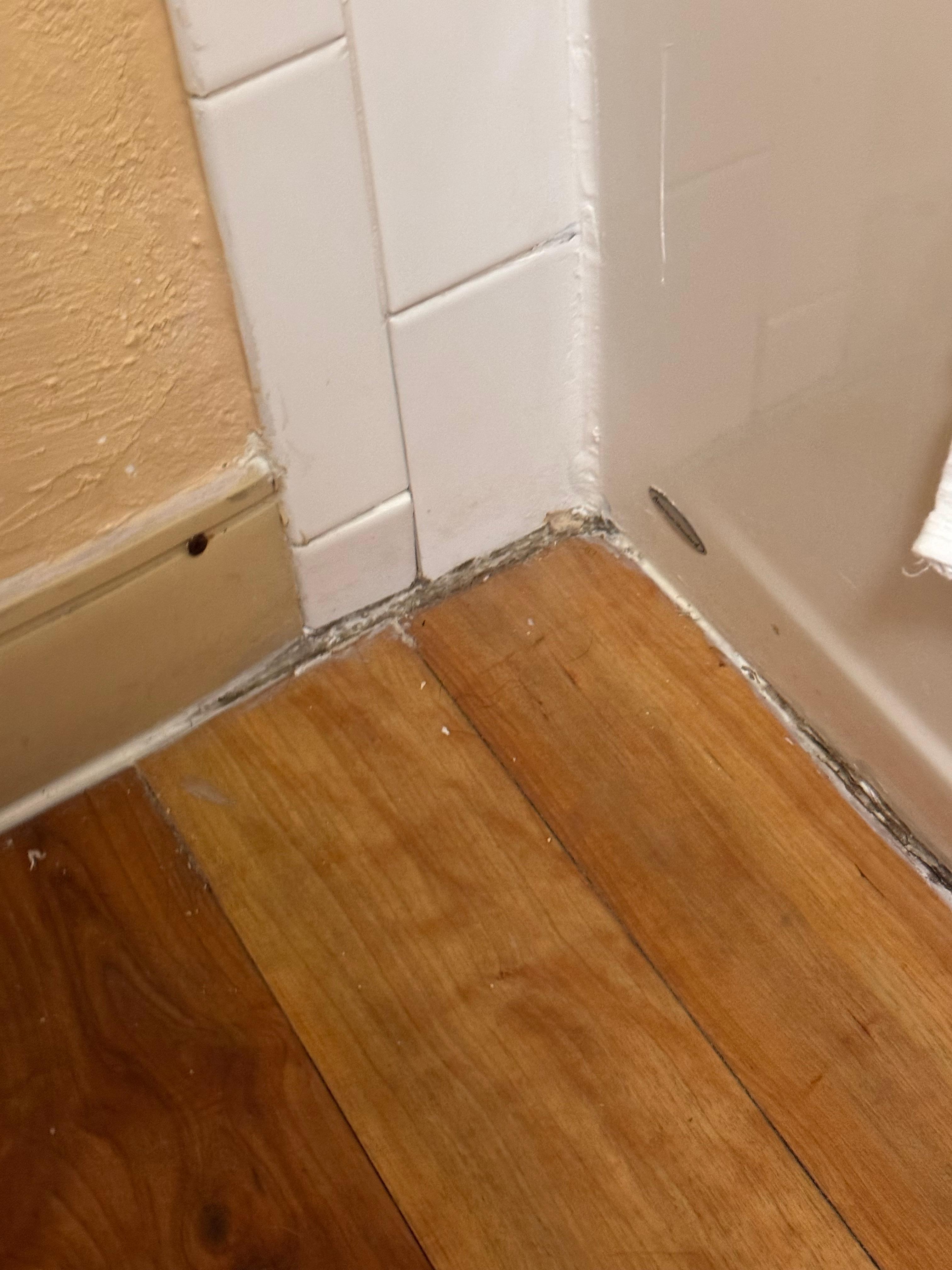 Mold mildew