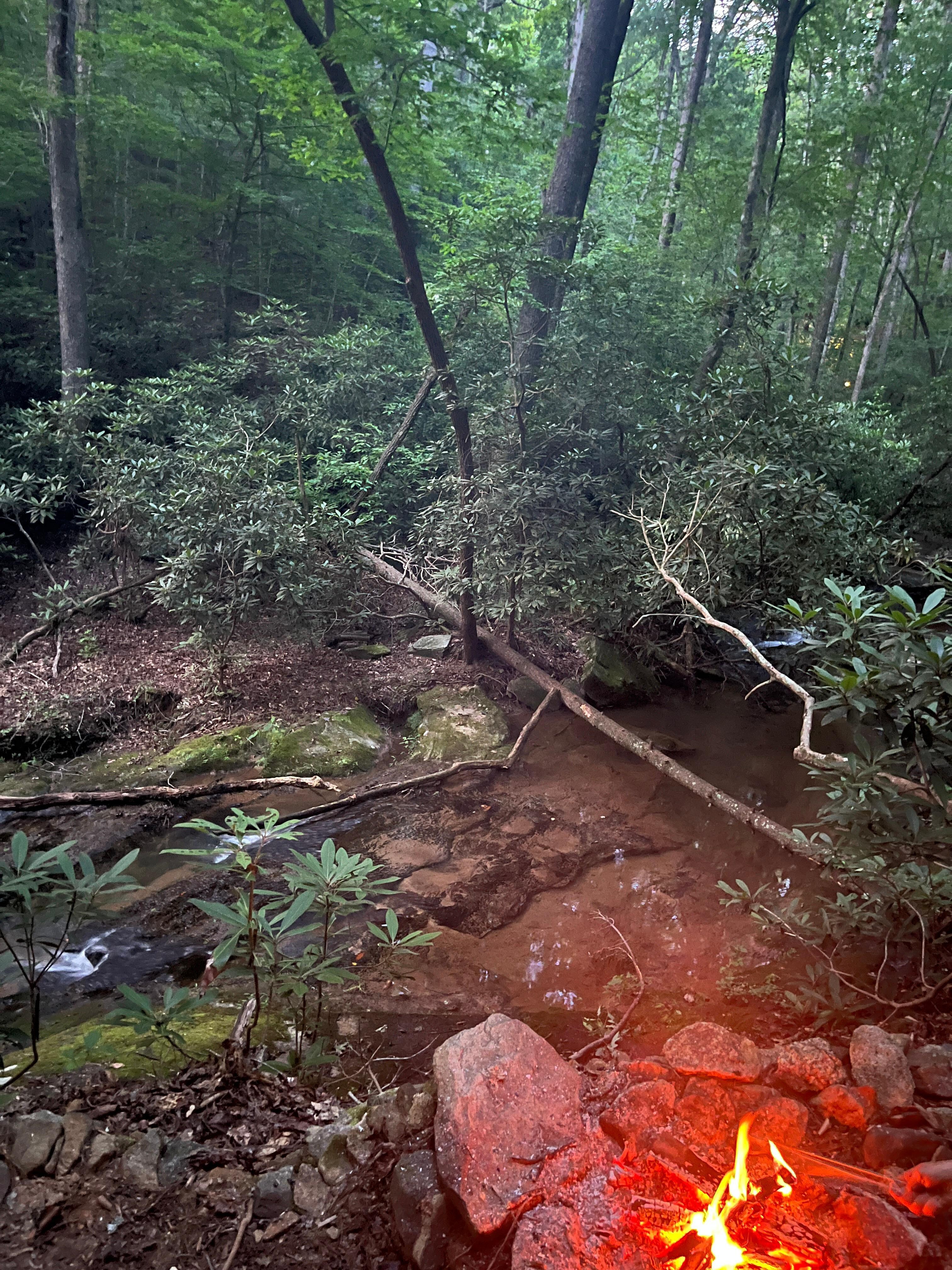 At the creek which belongs to the house