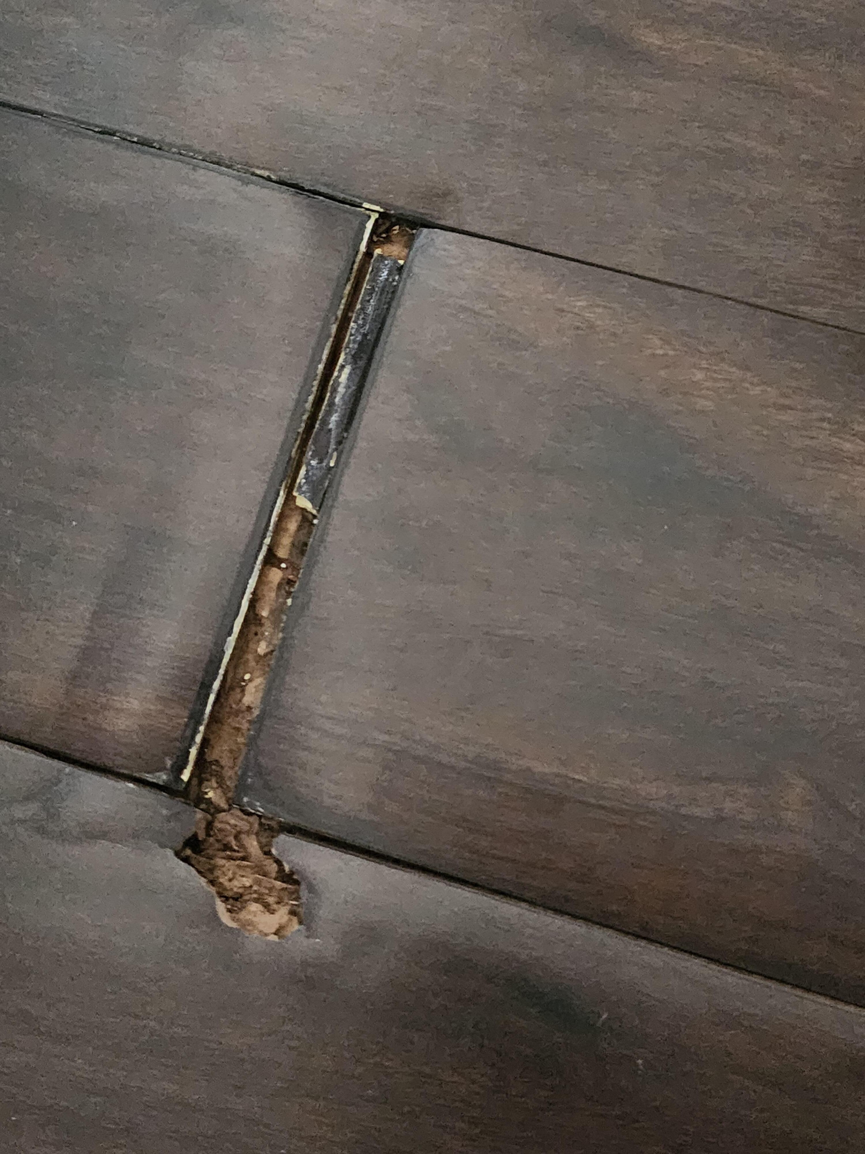 Damaged and unmaintained floors snagged our socks.