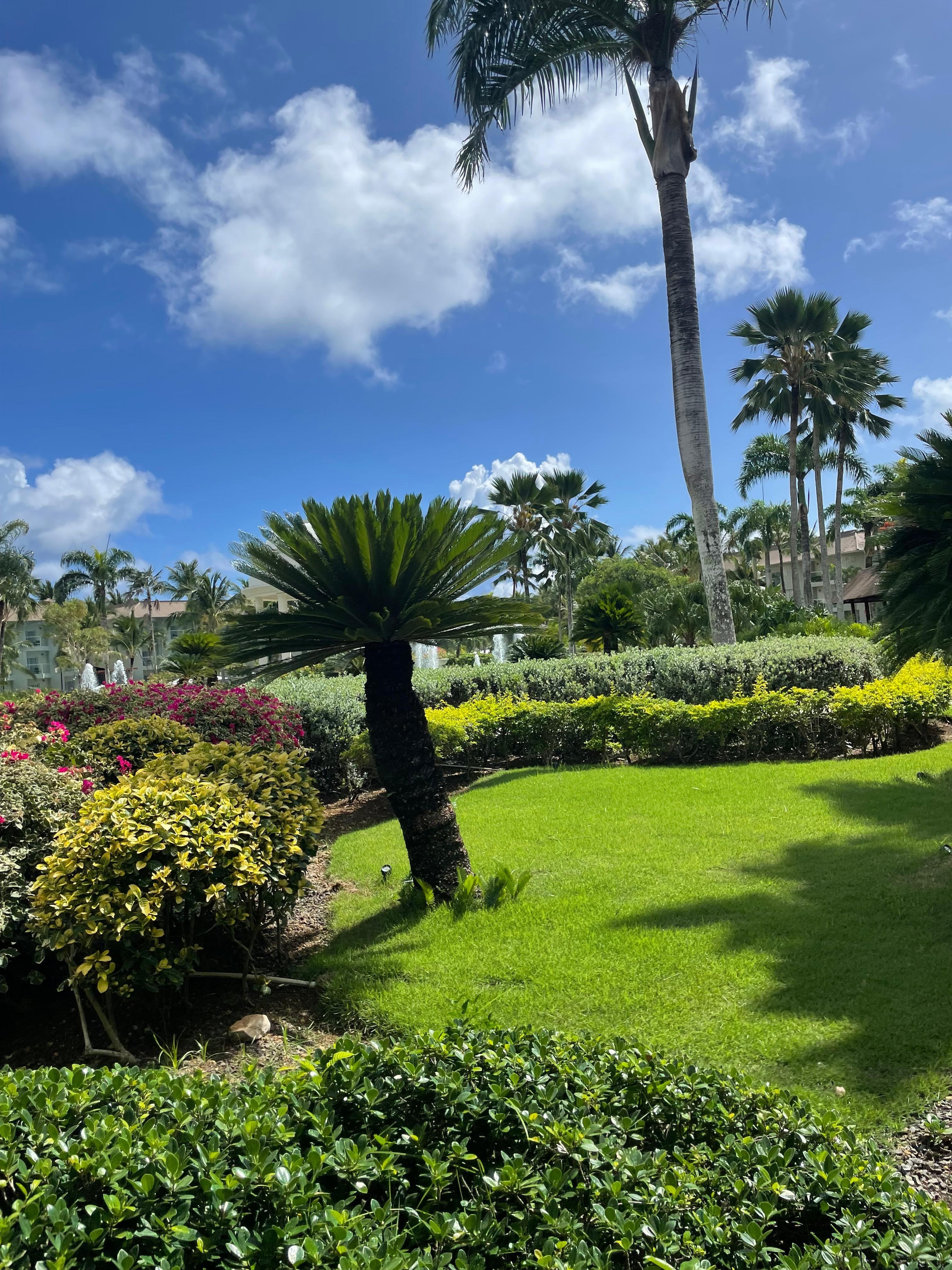 More of the beautiful grounds