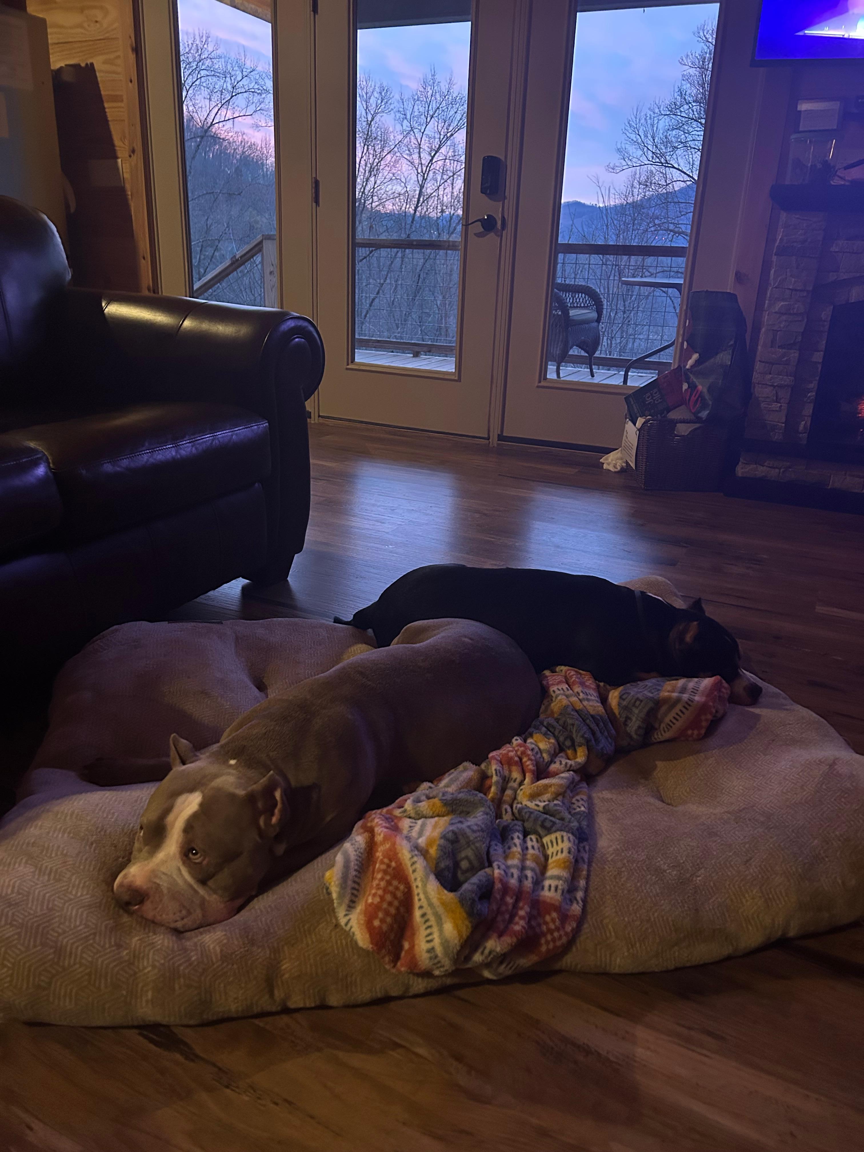 Cozy in the living room at sunrise. 
