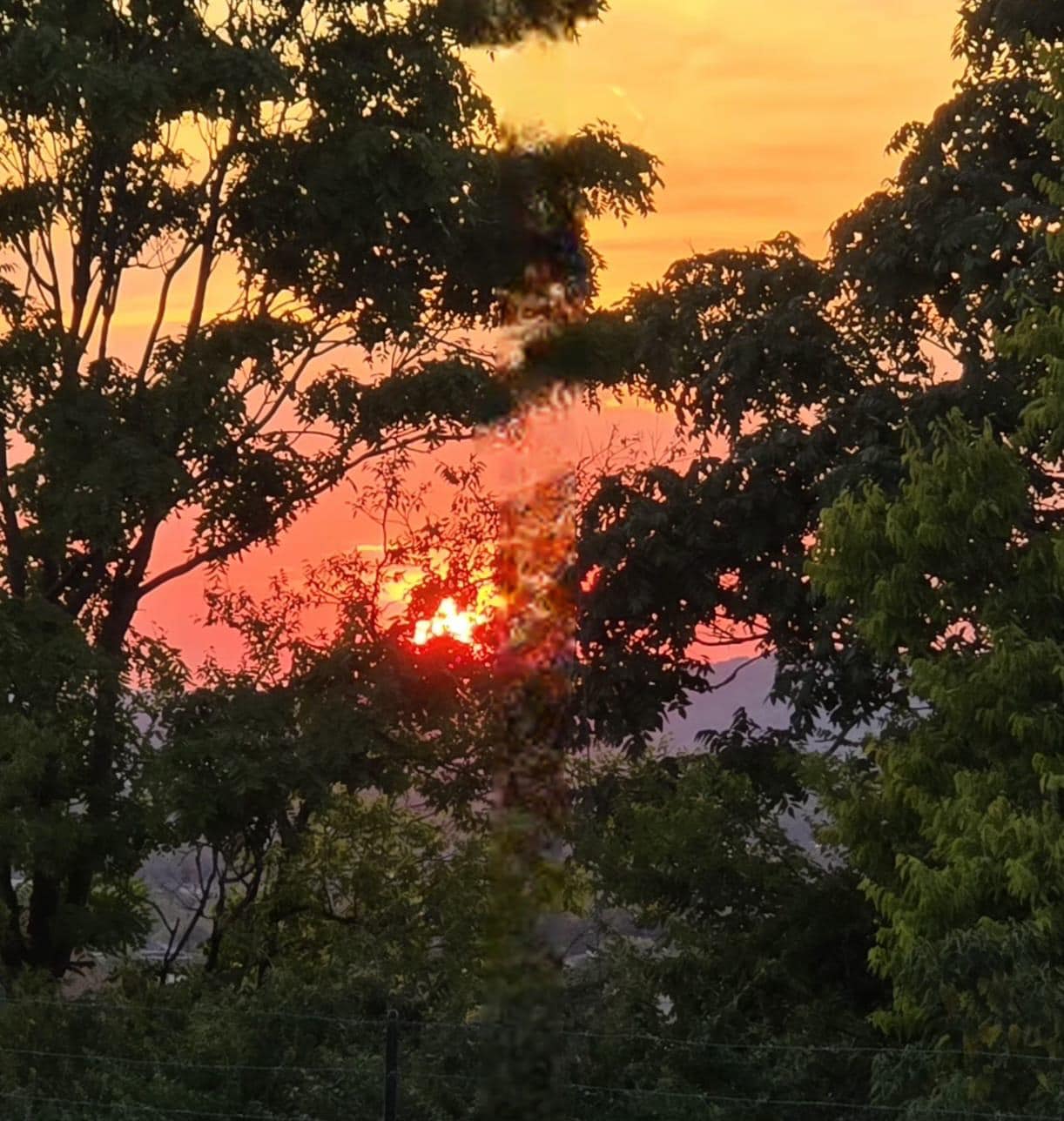 Beautiful sunset.  The picture doesn't do it justice, though.