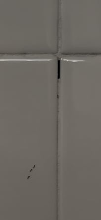 There was a video of them moving around the shower but they were all over the bathroom.