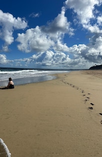 Beach behind the house