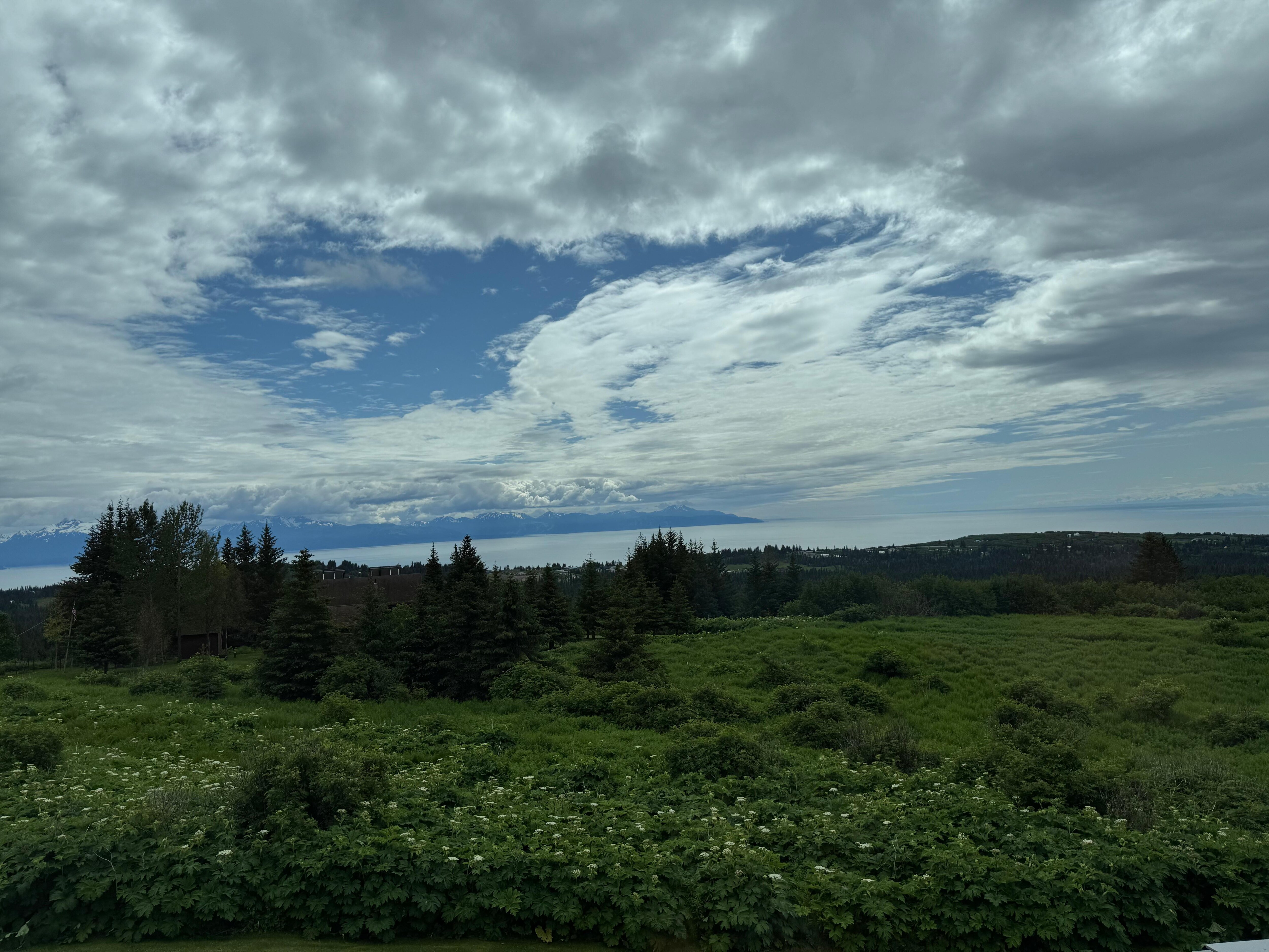 Front yard view