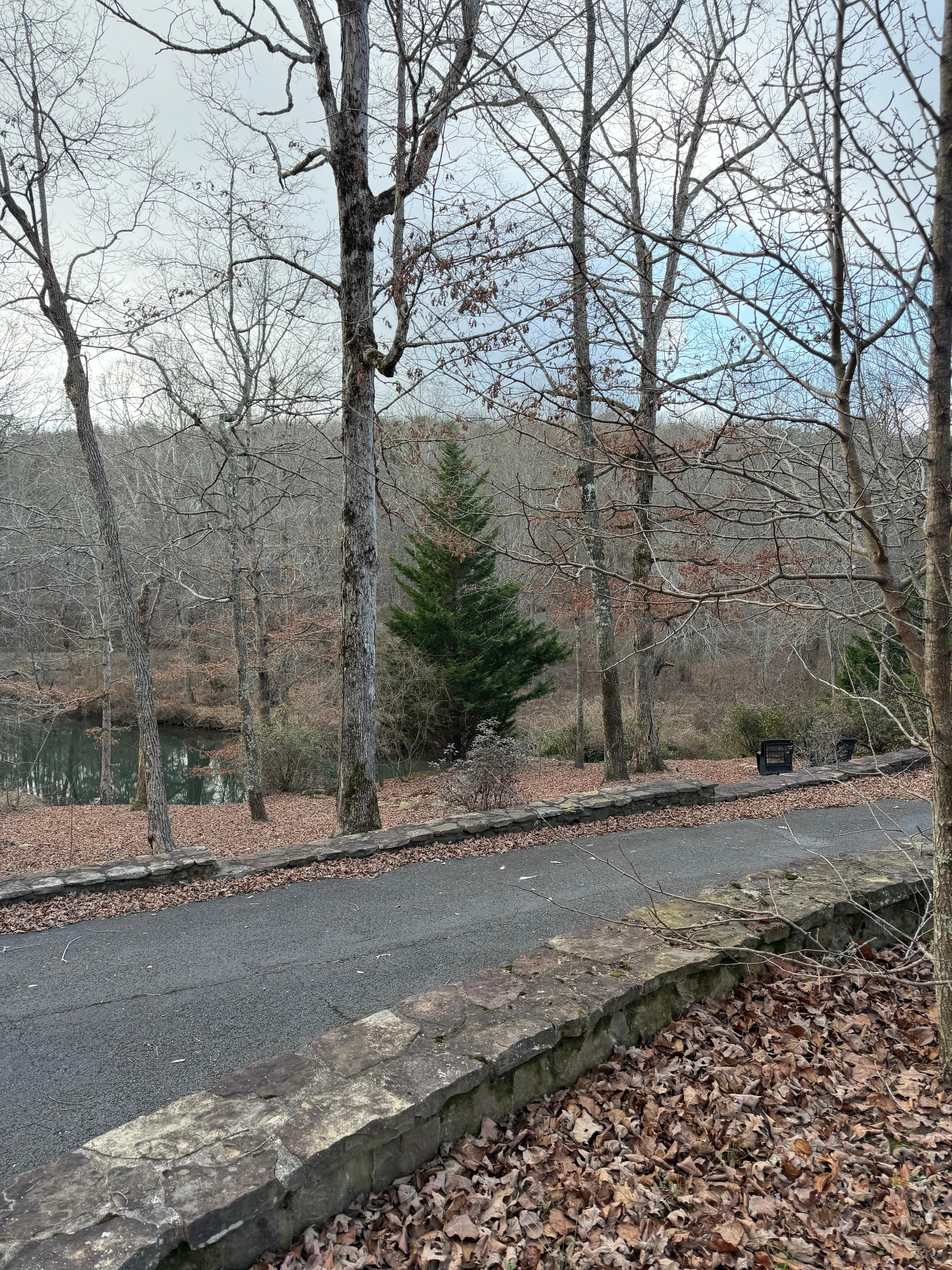 View from covered, screen deck.