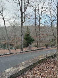 View from covered, screen deck.