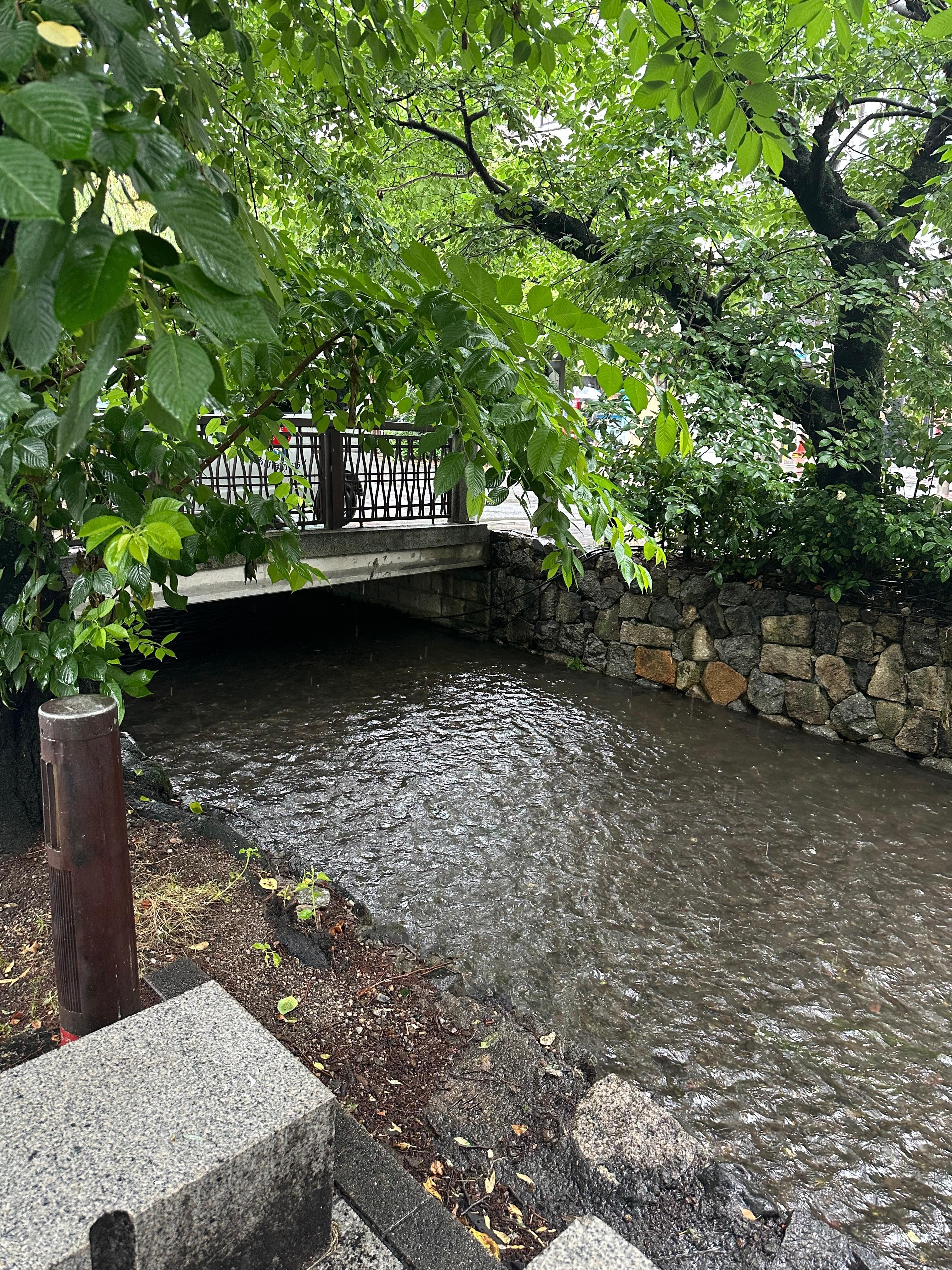 Walking around the backside of hotel