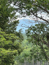 The mountain through the trees