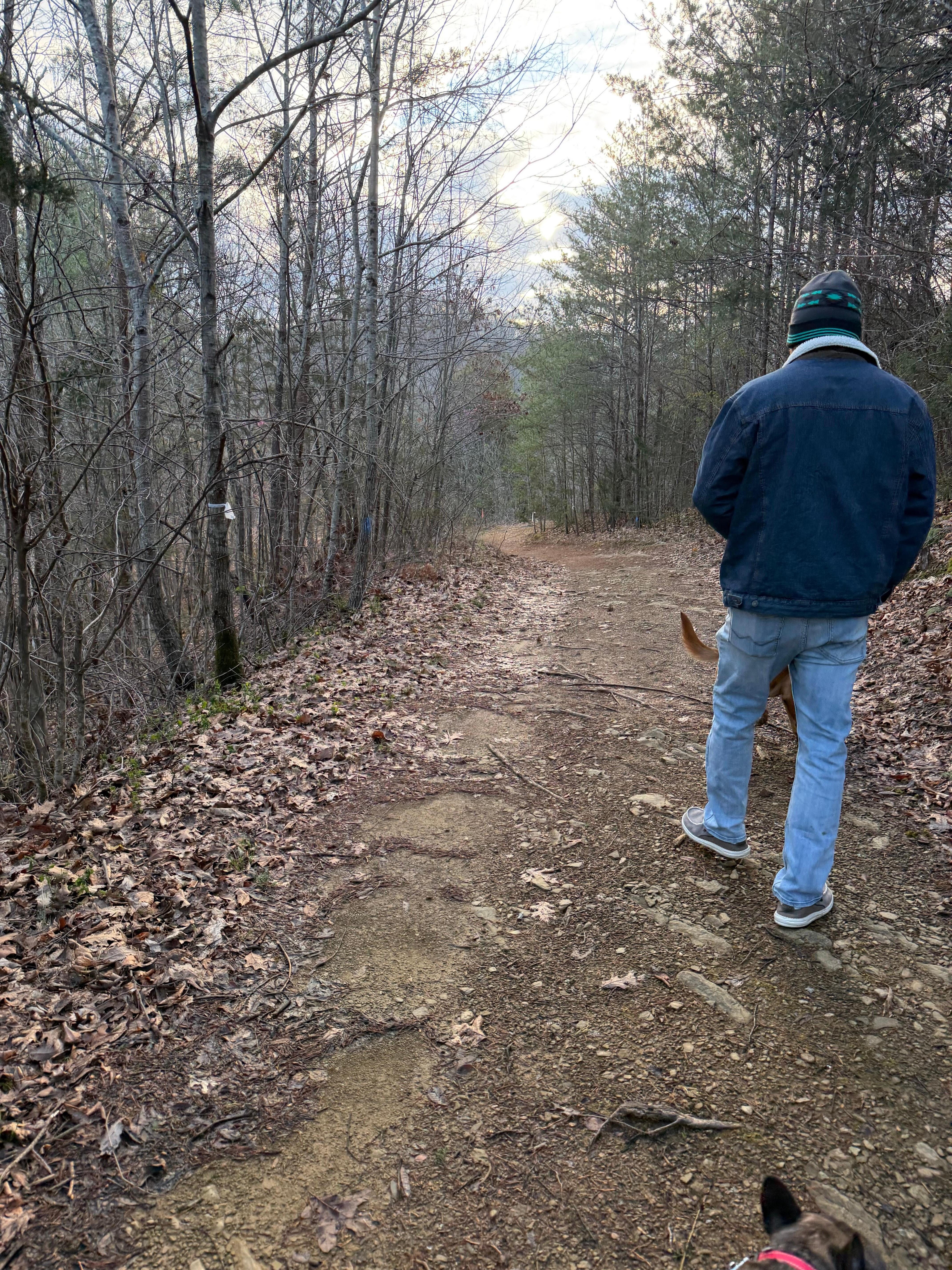 Another part of the trail